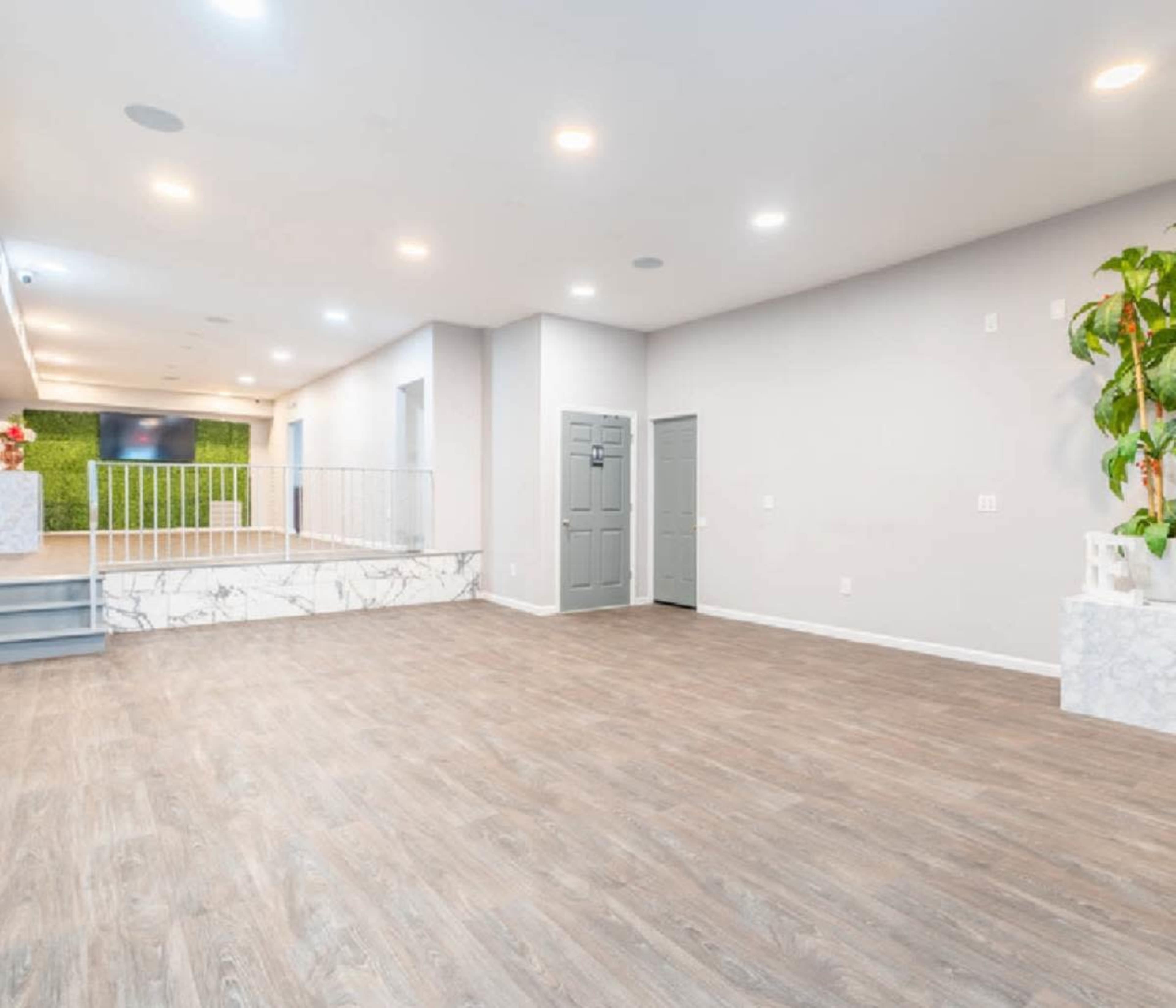 A spacious, empty room with light wooden flooring, white walls, and a decorative plant in the corner.