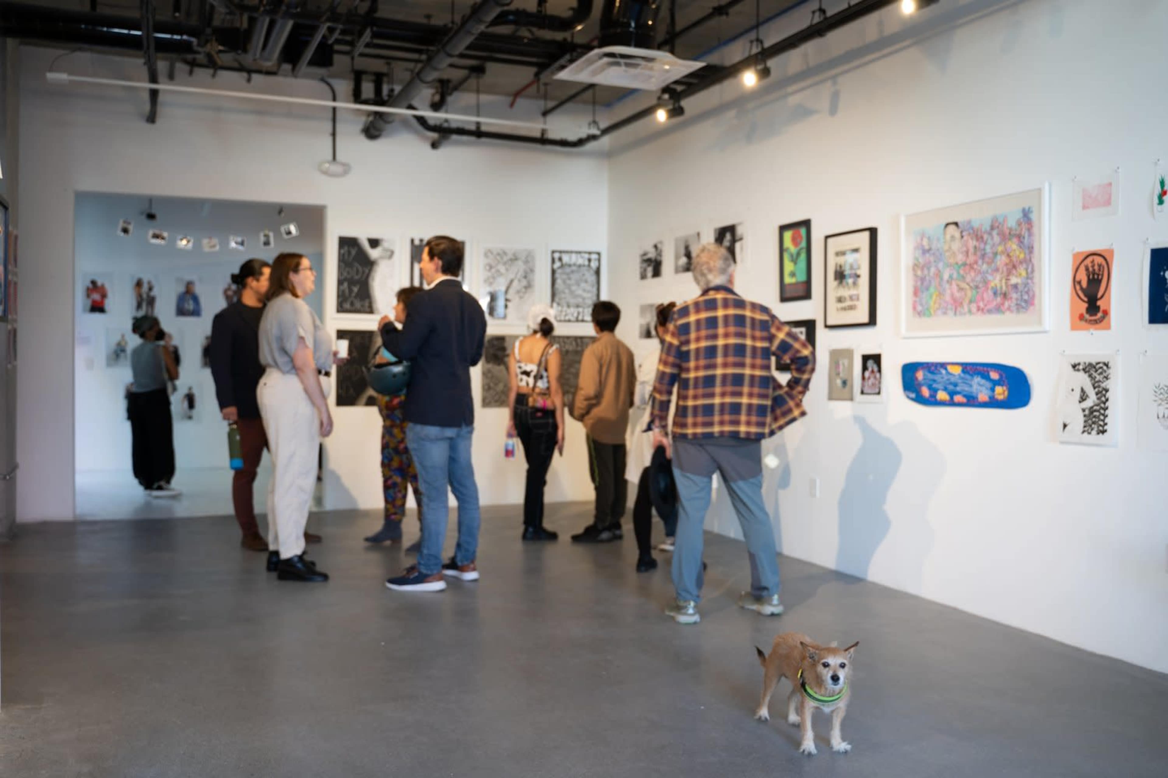 A group of people explores an art gallery while a small dog stands in the foreground.