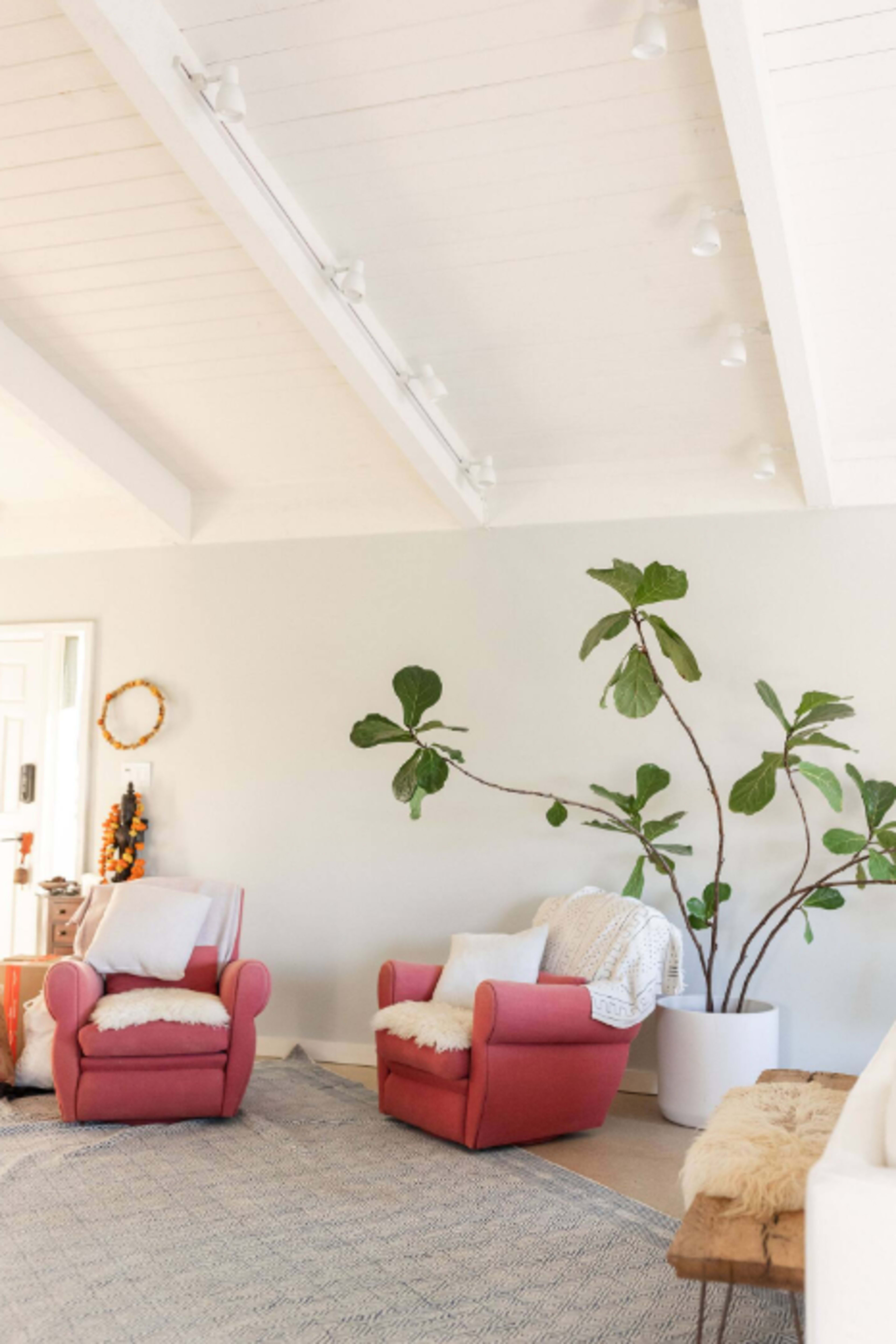 A cozy living room with two pink armchairs, a plant in a white pot, and a textured rug on the floor.