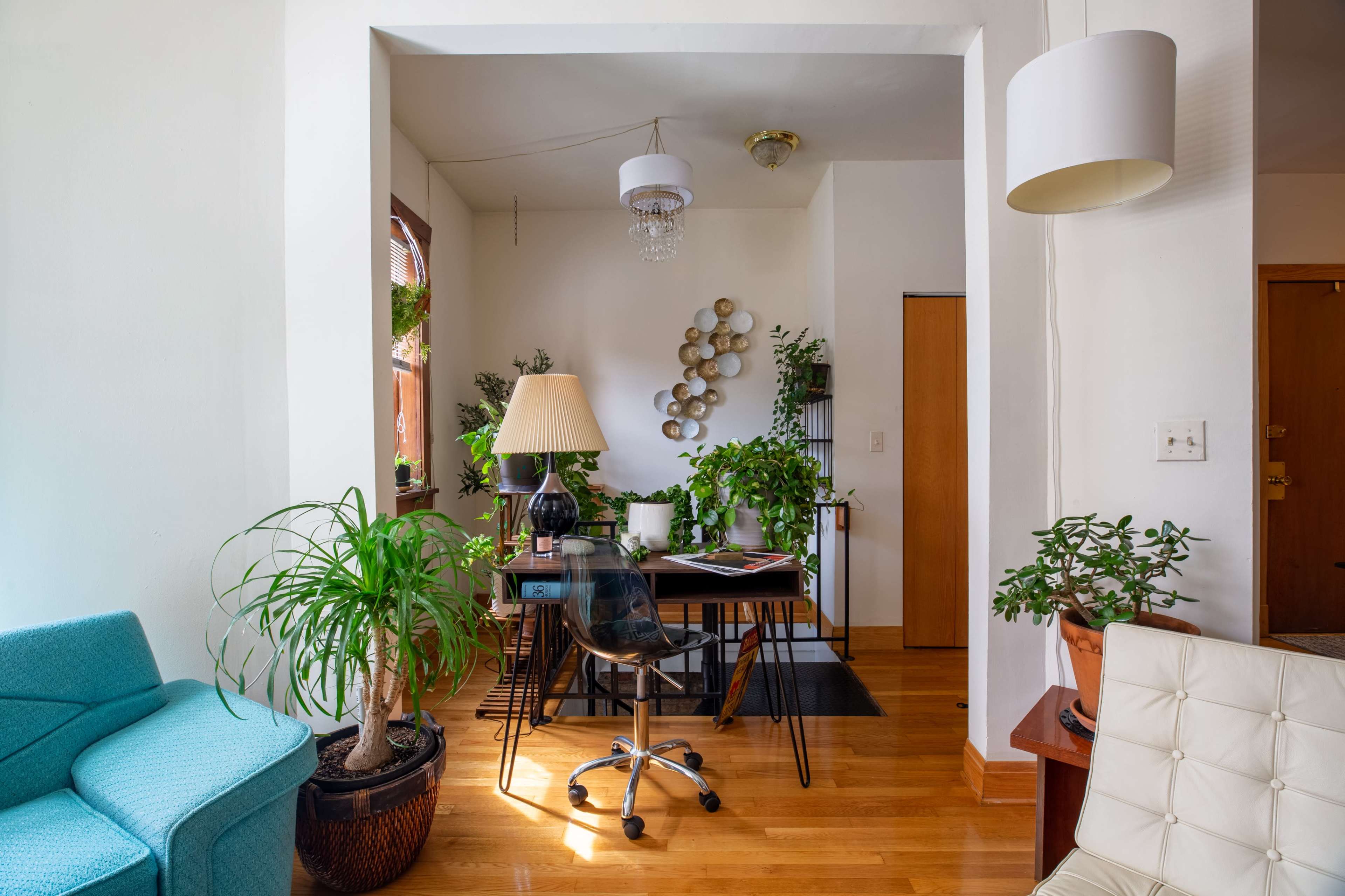 The image shows a bright room with a desk surrounded by various plants, a lamp, and a turquoise couch.