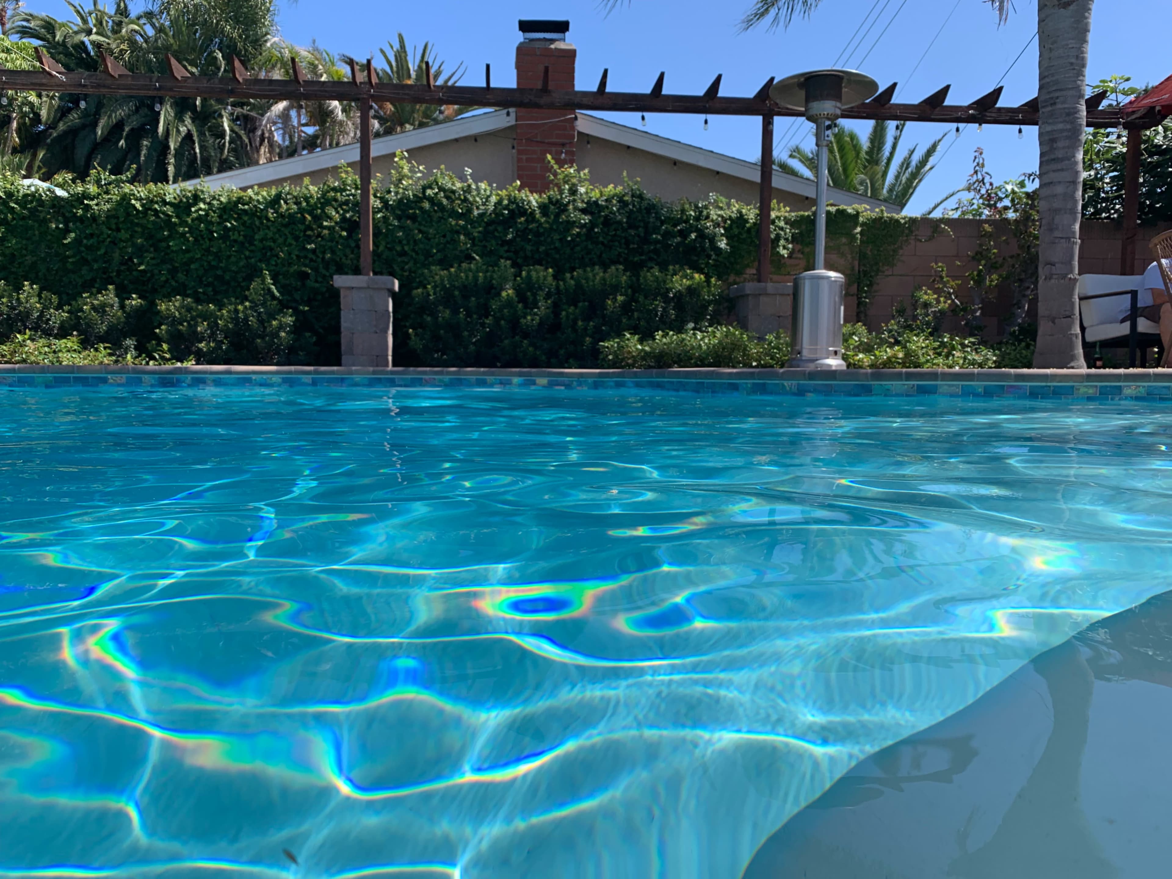 A clear swimming pool reflecting sunlight, with palm trees and a house in the background.