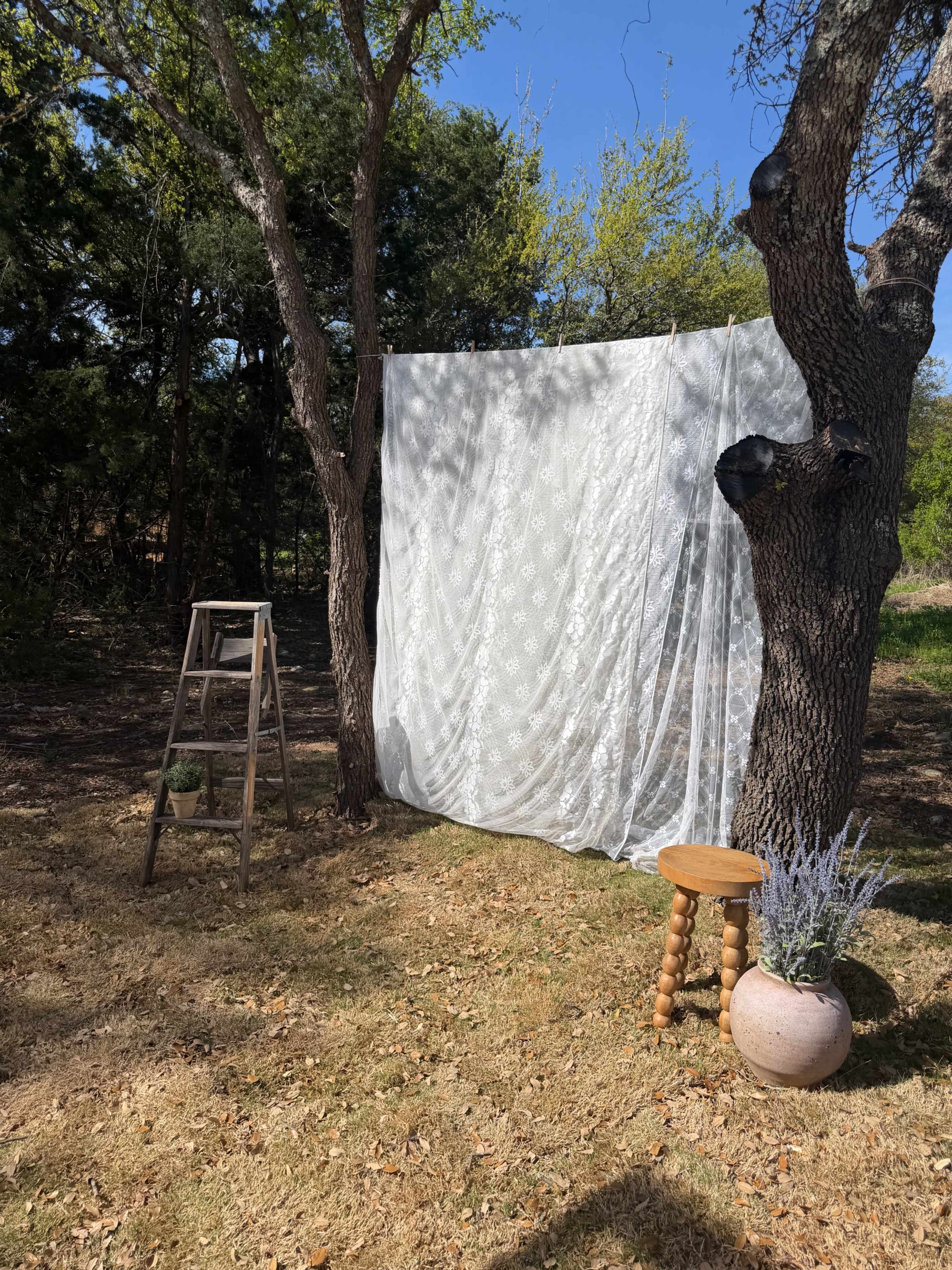 A sheer white curtain is hung between two trees, with a wooden ladder, a stool, and a potted plant arranged nearby on a grassy area.