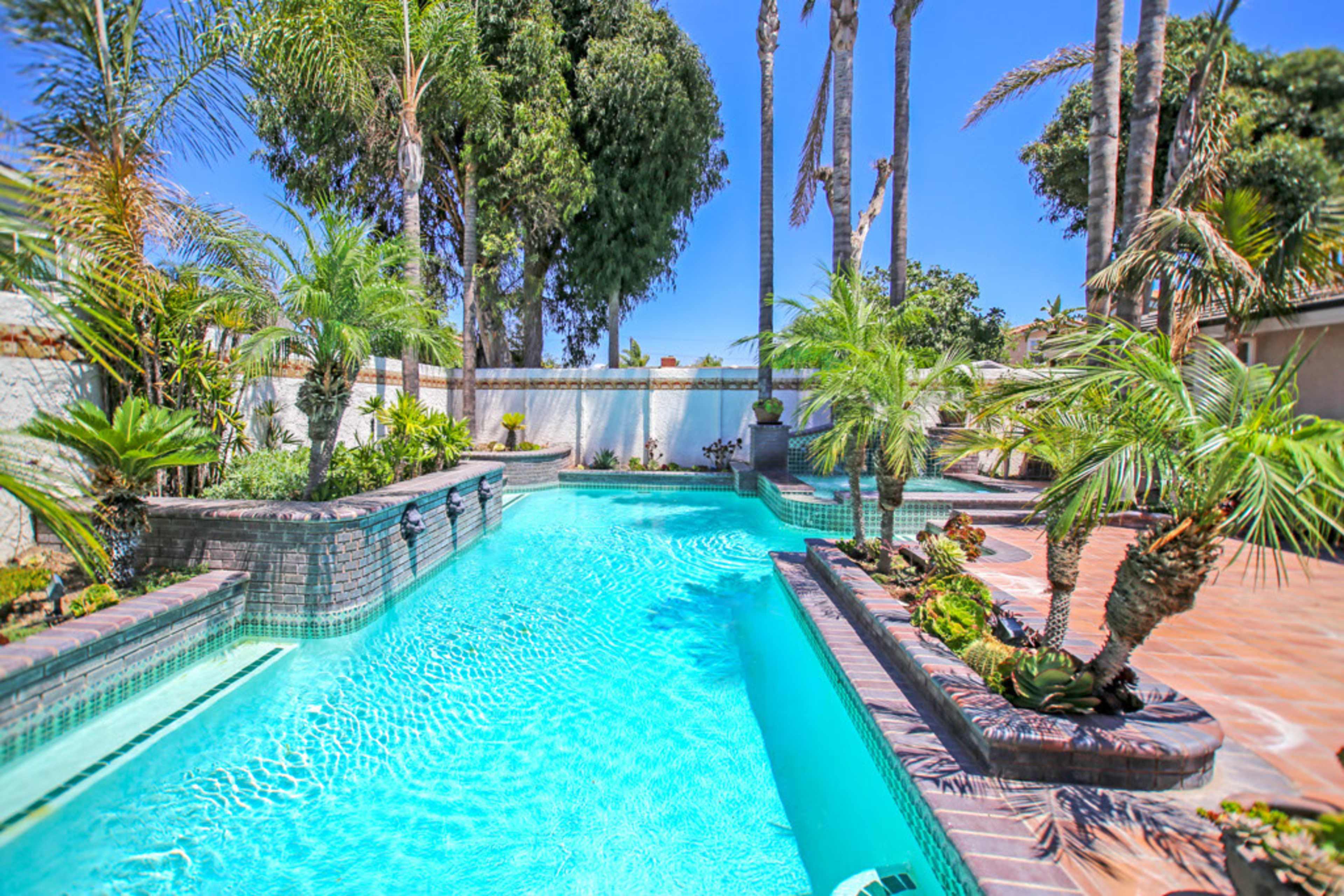 A serene backyard features a swimming pool surrounded by tropical plants and tall palm trees.