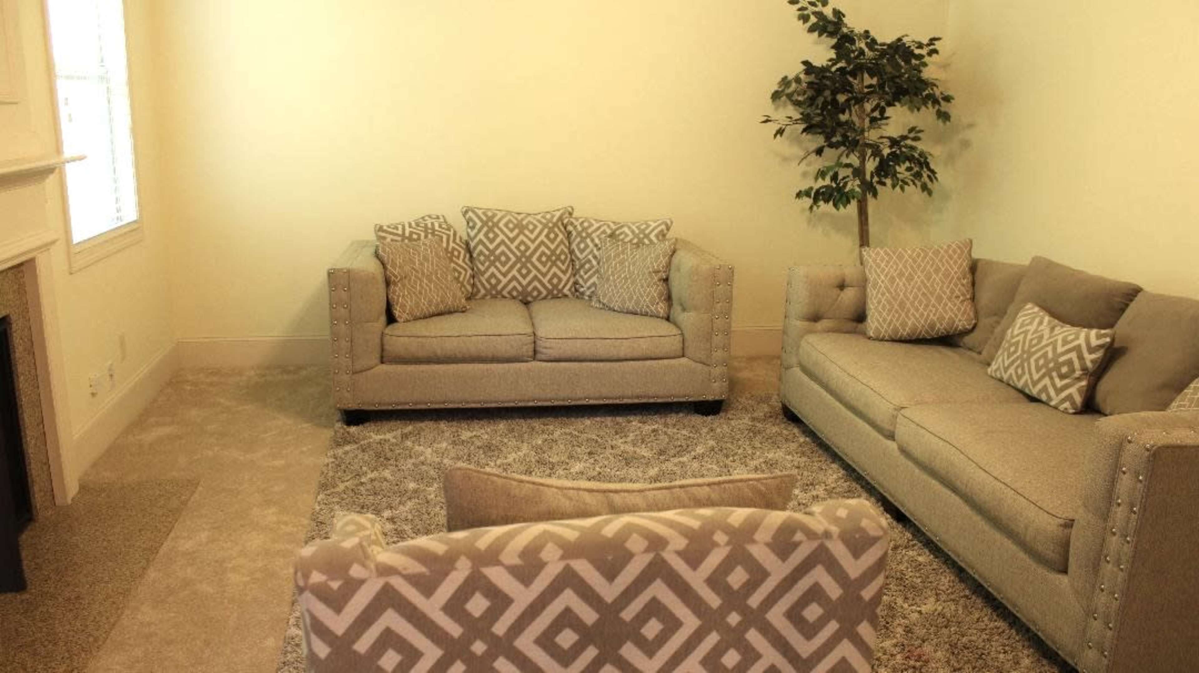 The room features two gray upholstered sofas with patterned throw pillows, a small rug on the carpet, and a potted plant in one corner.