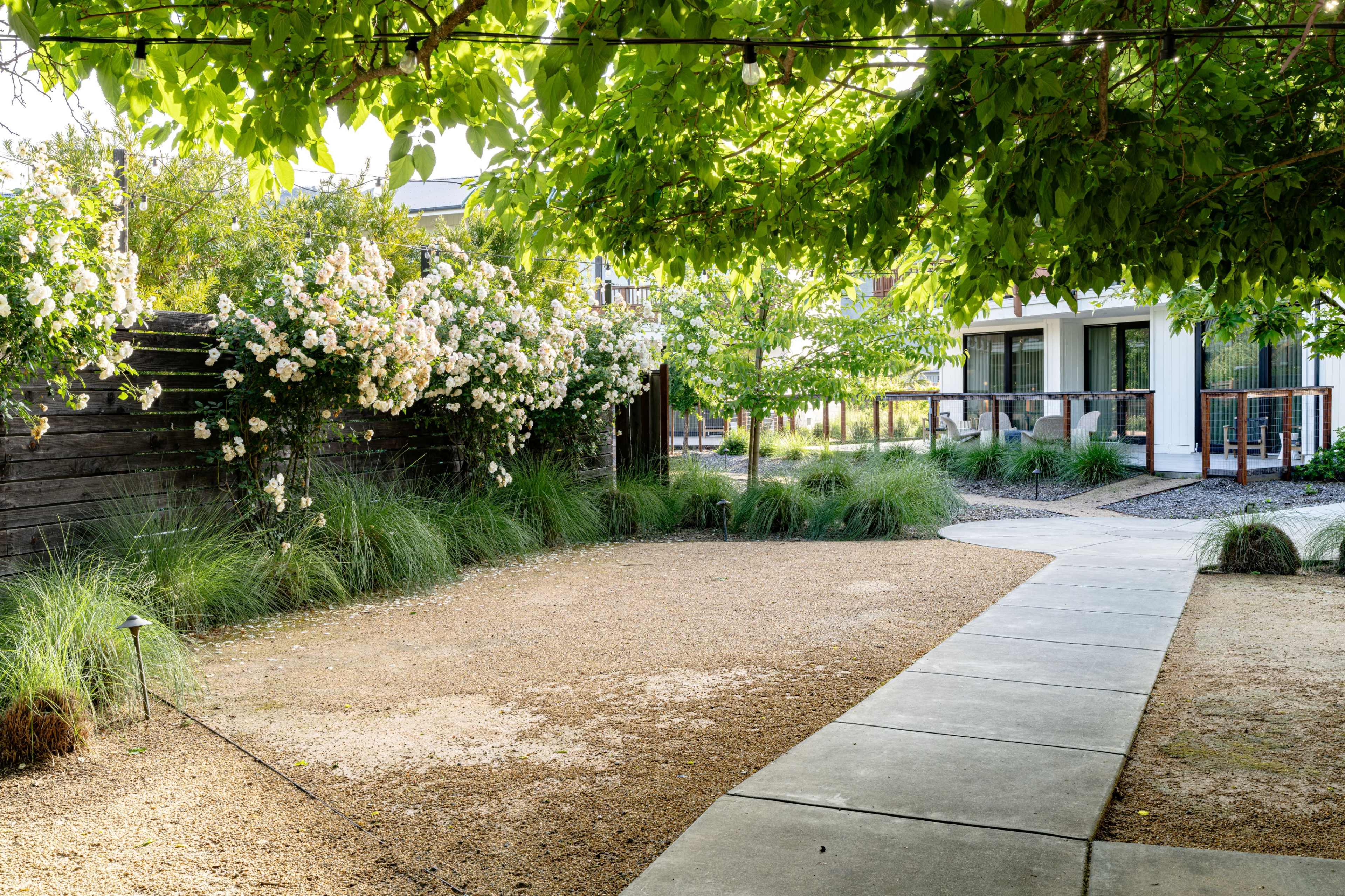 The image shows a garden pathway bordered by lush greenery and blooming flowers, leading to a modern building in the background.