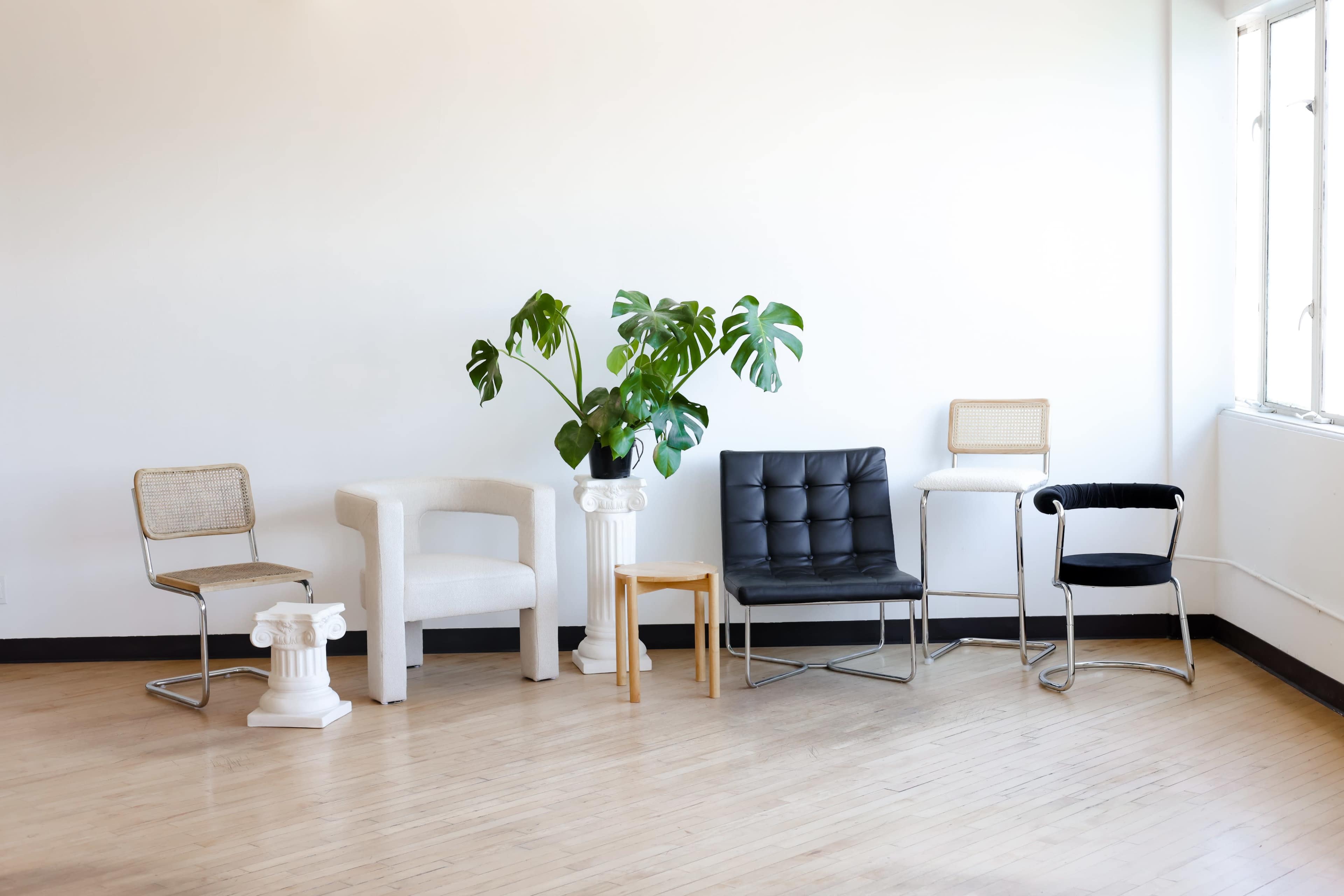 A minimalist room with a variety of chairs arranged around a potted plant on a pedestal.