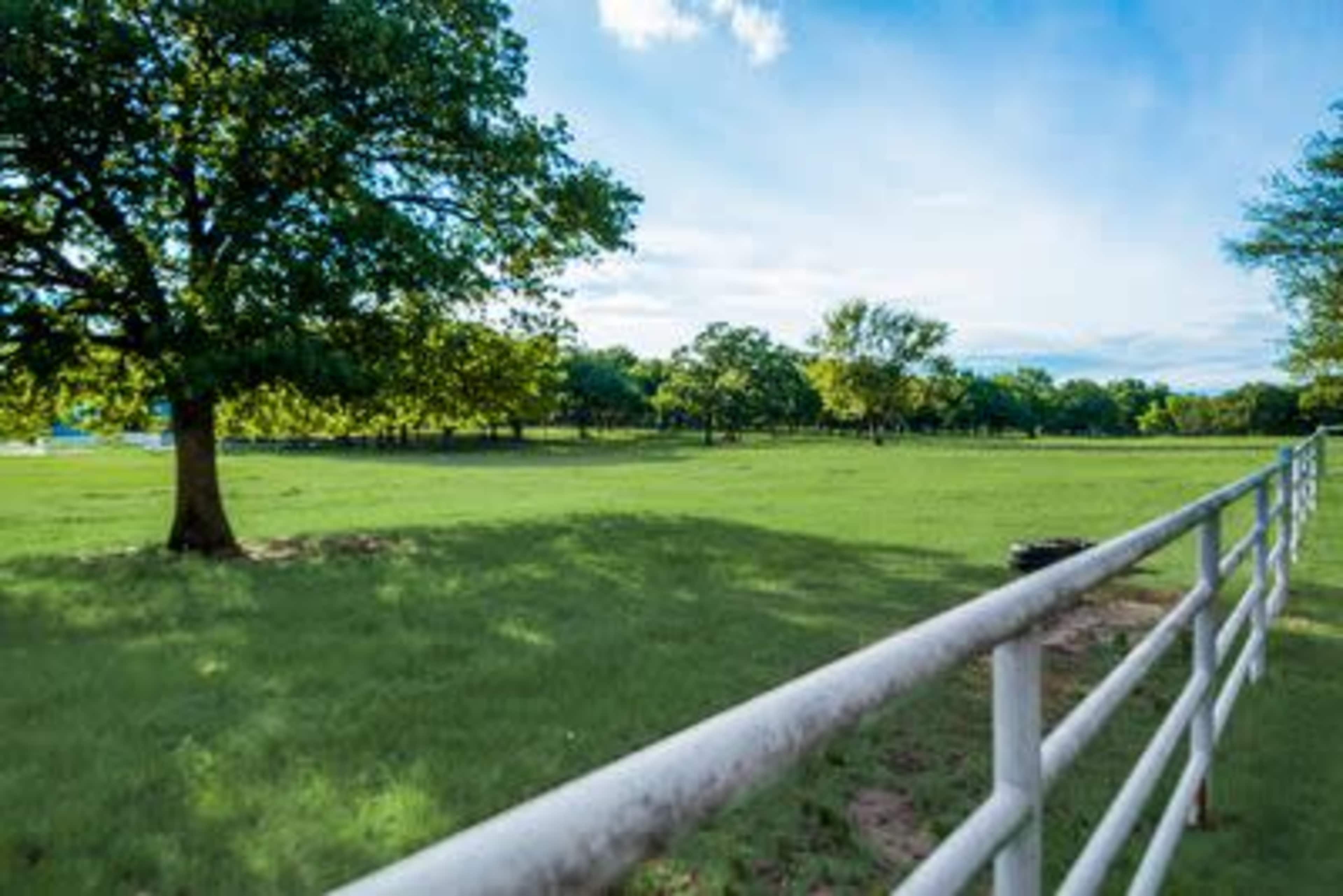 A white fence borders a grassy field with scattered trees under a clear blue sky.