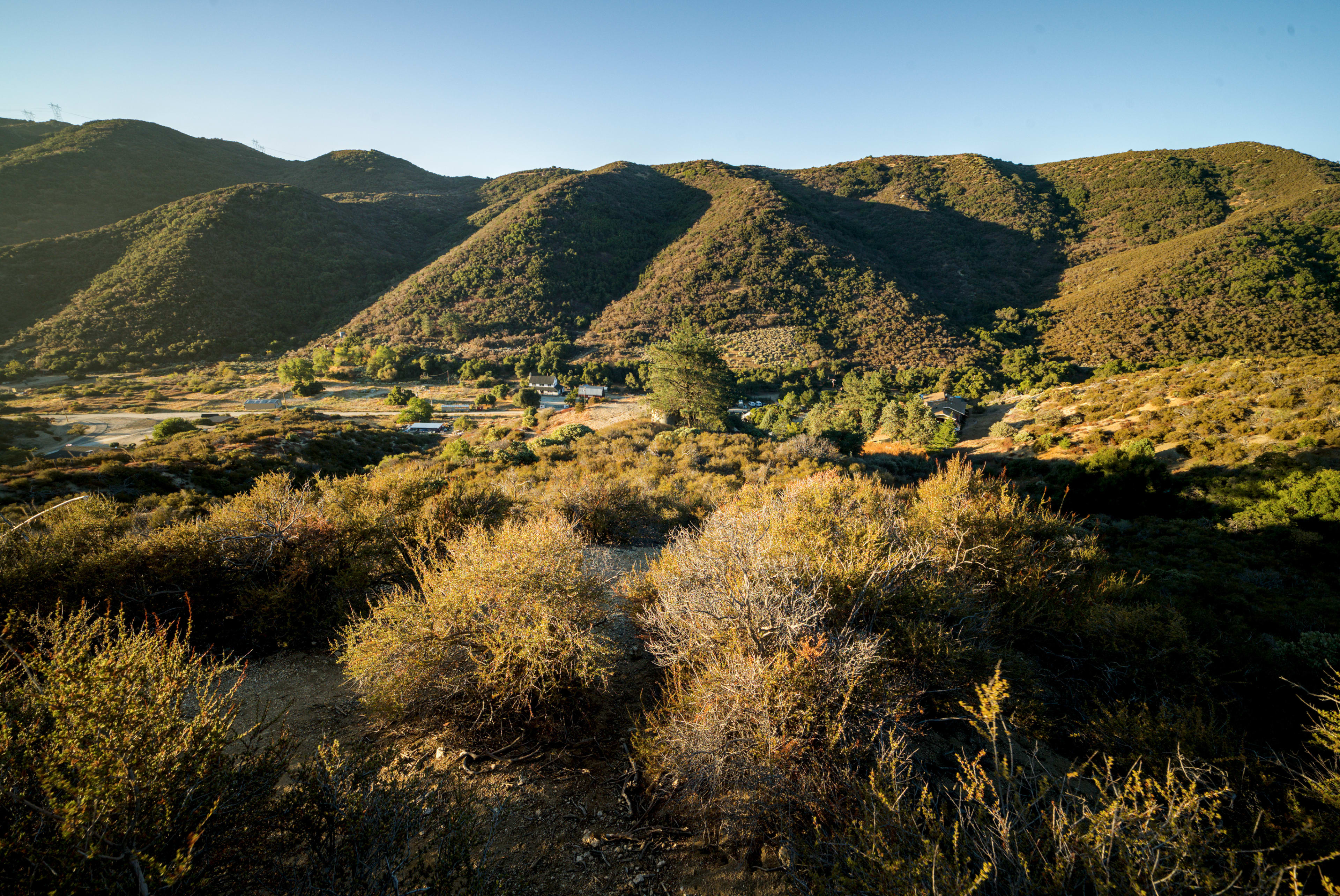 Hidden Valley Cinematic Forest Setting Image in Leona Valley, Leona Valley, CA