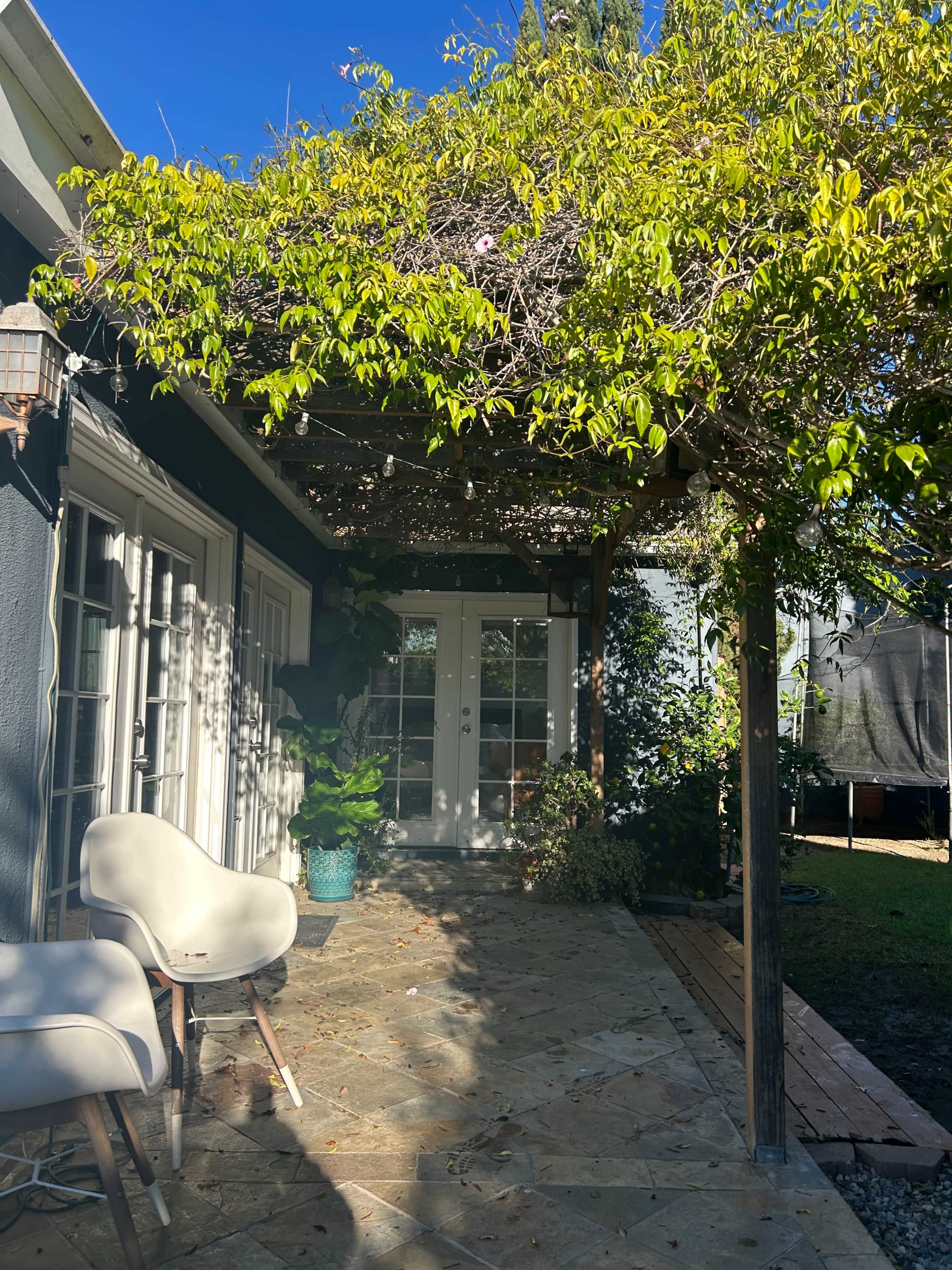 The image shows a stone patio with two white chairs under a pergola covered in greenery, adjacent to a blue-gray house with large glass doors.