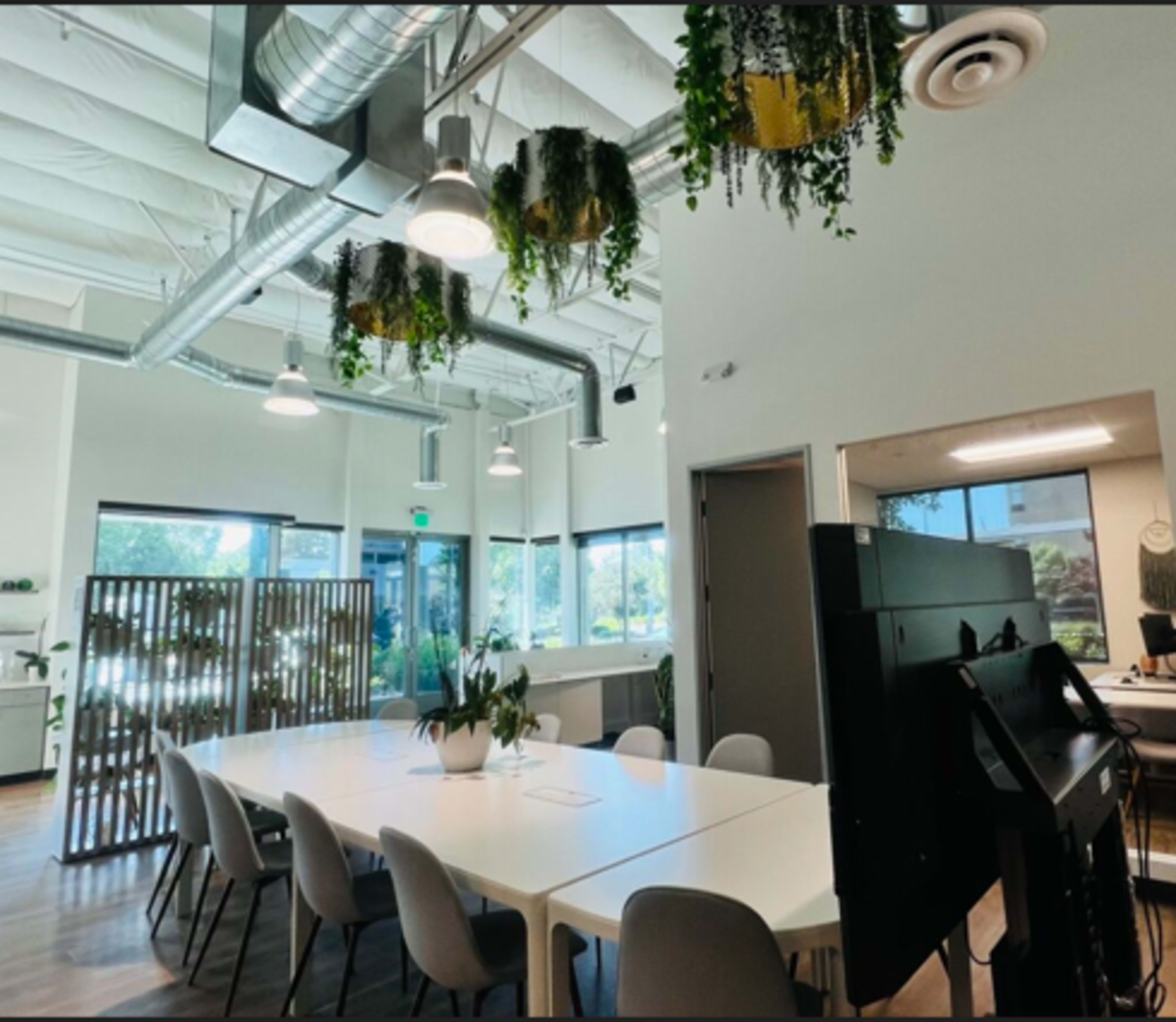 A bright, modern office space with a large white table, gray chairs, and hanging plants from the ceiling.