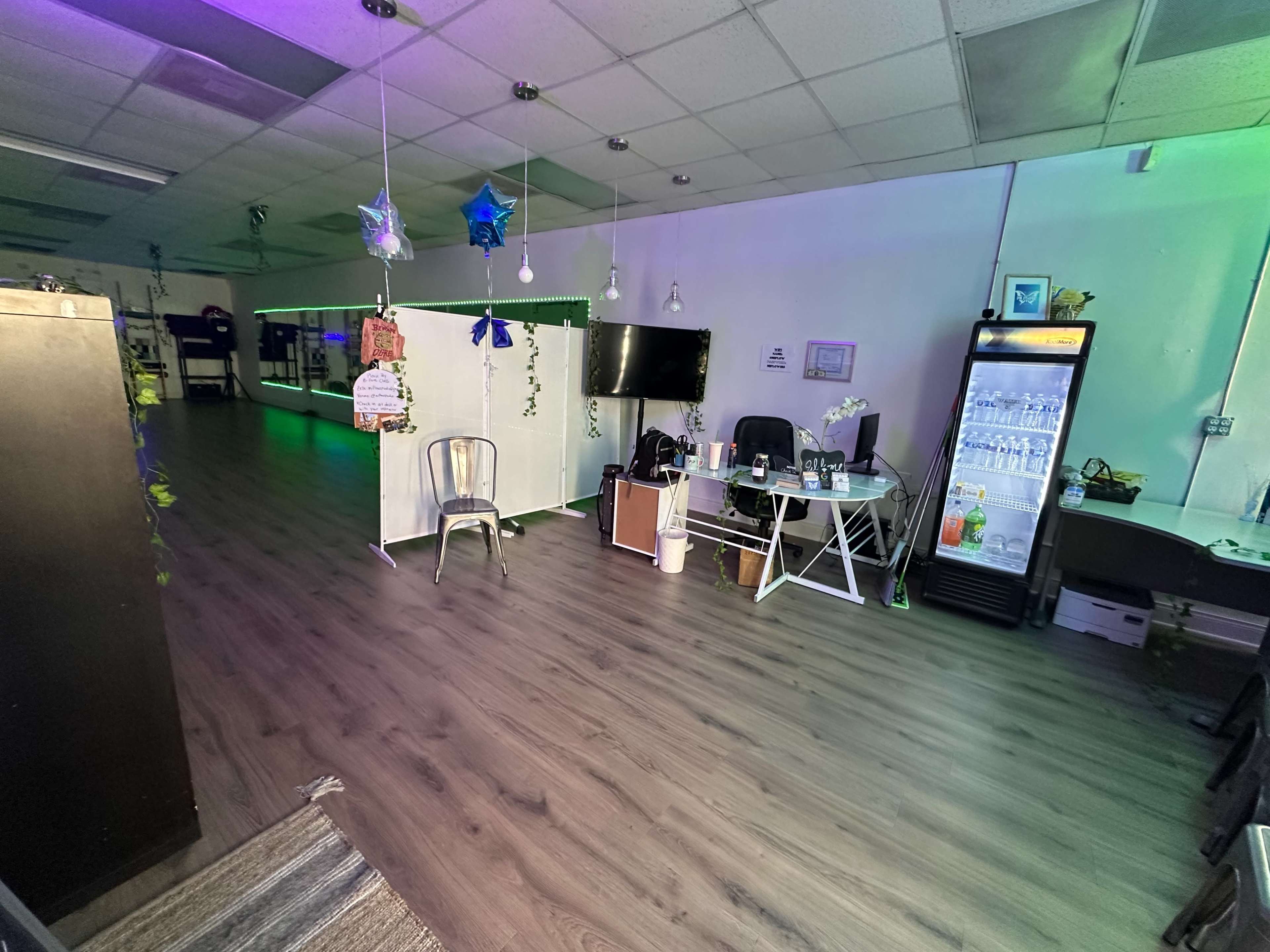 The image shows an indoor space with a wooden floor, a few chairs, a television, a fridge, and green and purple lighting.