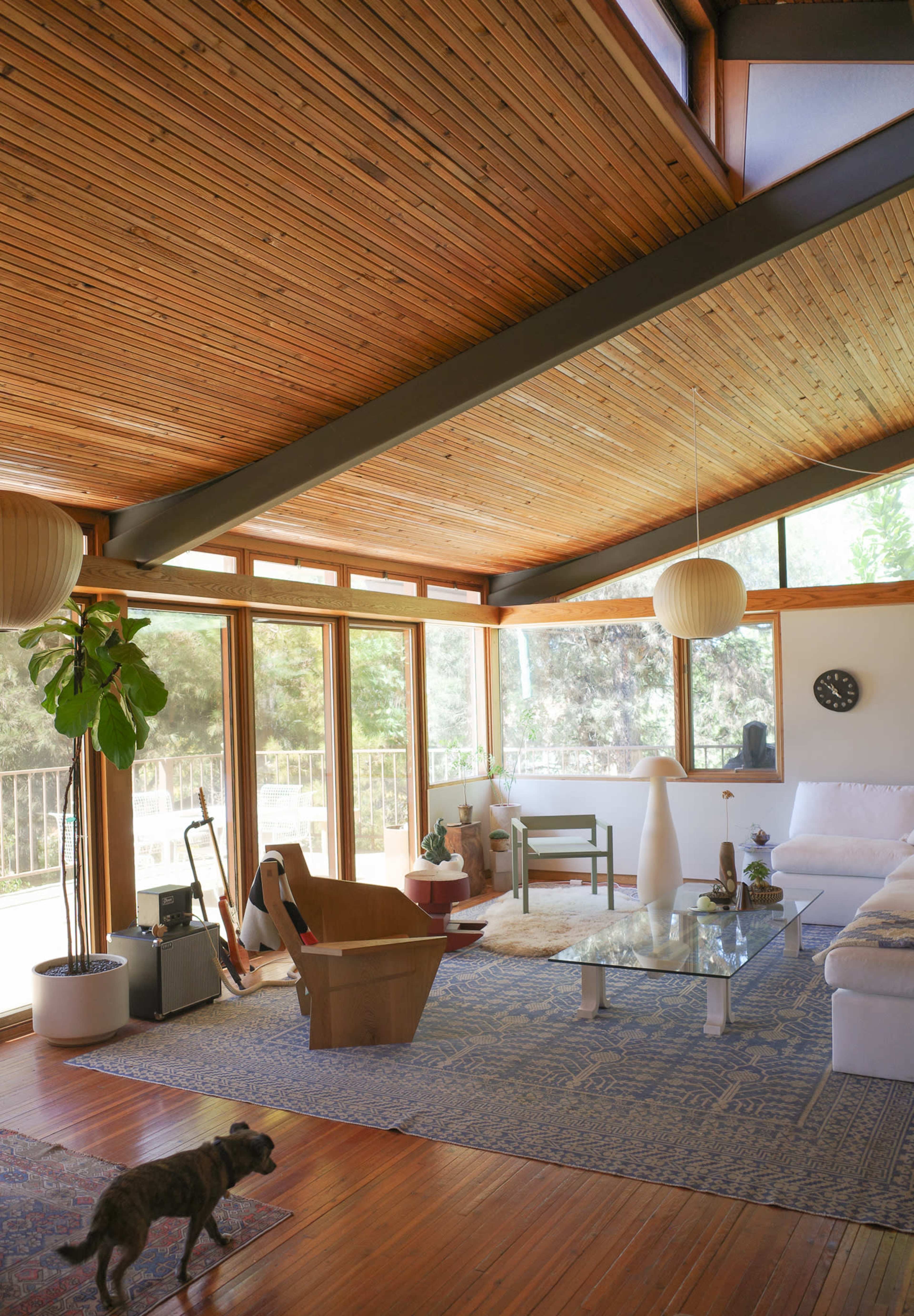 A modern living room with a wooden ceiling, large windows, minimalist furniture, and a dog walking on a rug.