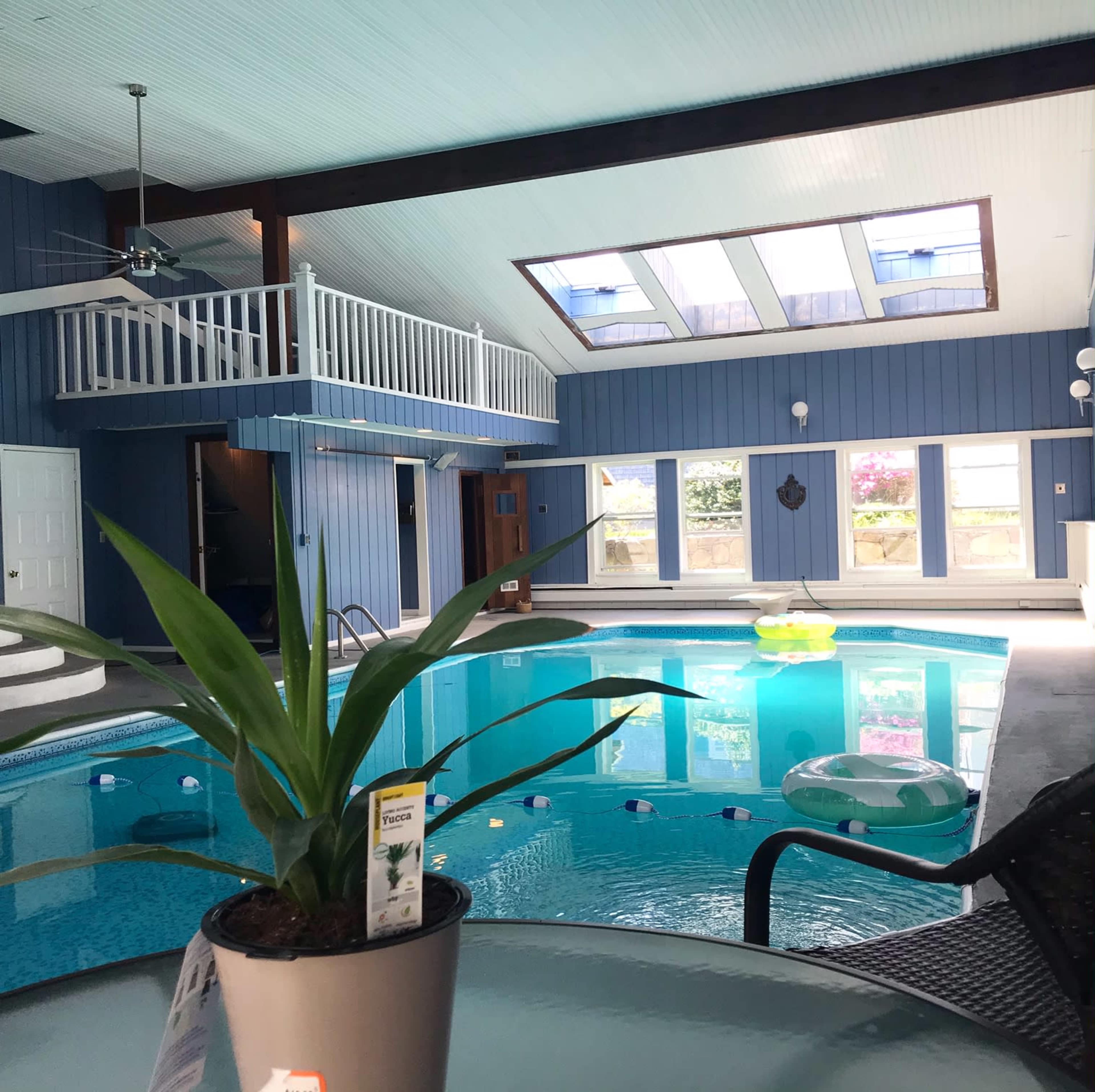 An indoor pool area with a skylight, blue walls, and a potted plant in the foreground.