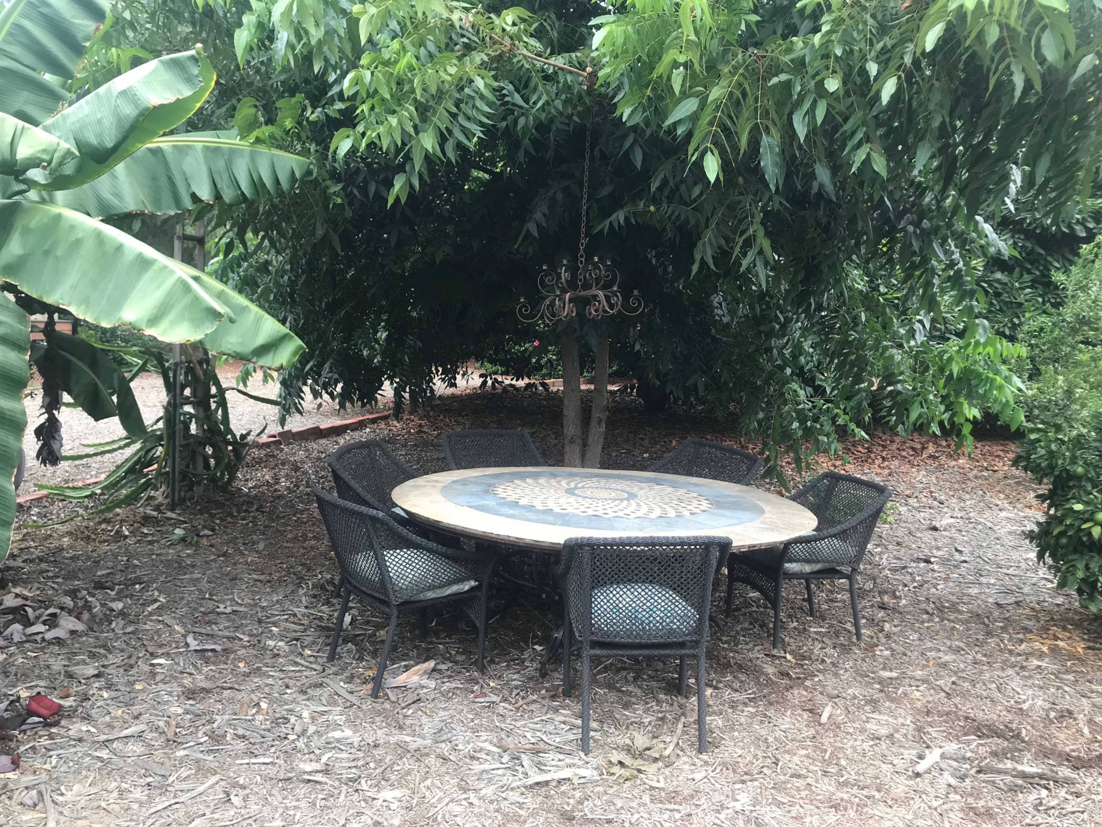 A round table surrounded by six chairs is situated under a canopy of trees in a garden area.