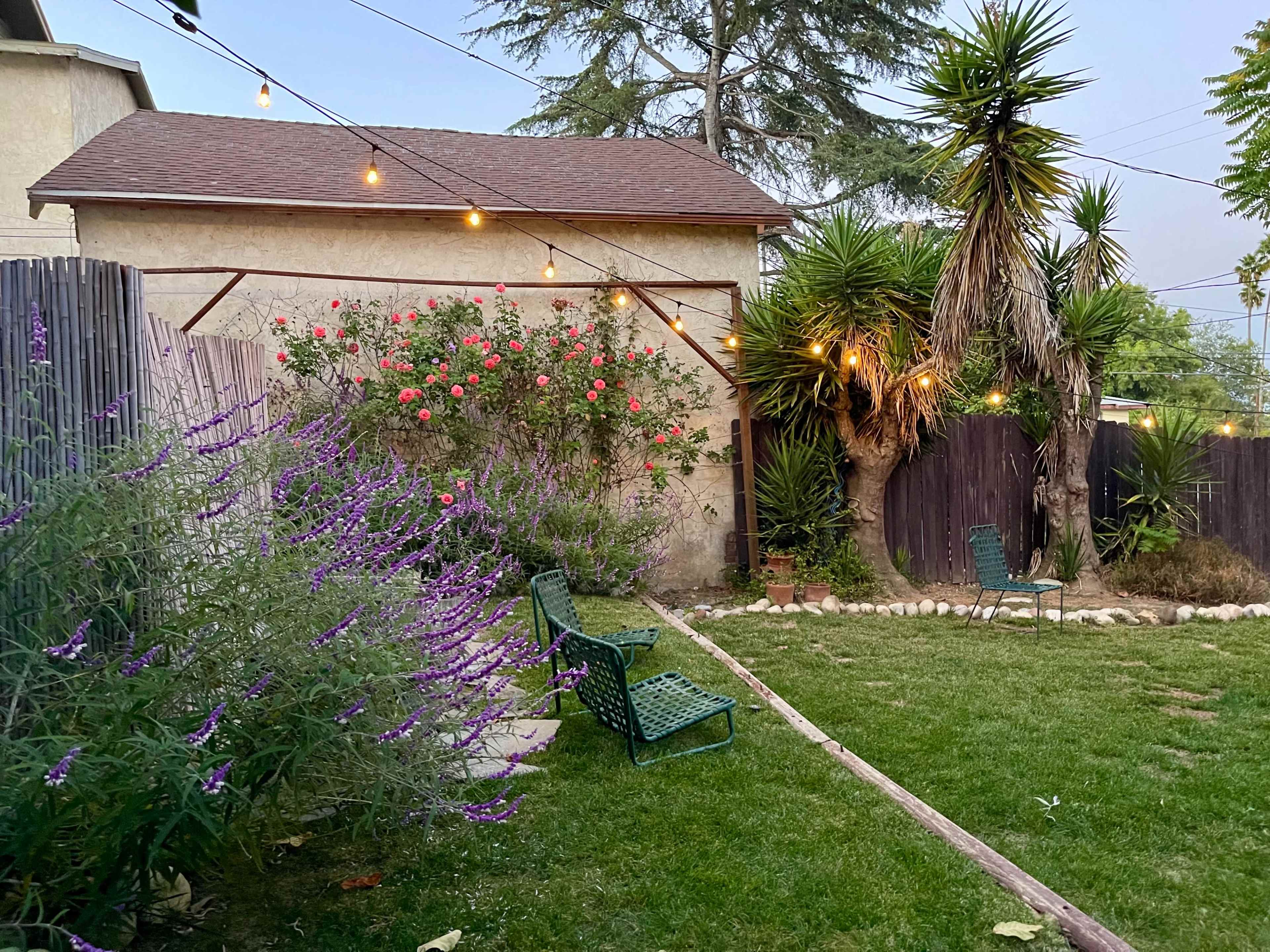 A backyard with green lawn chairs, flowering plants, and string lights hanging over a garden area.
