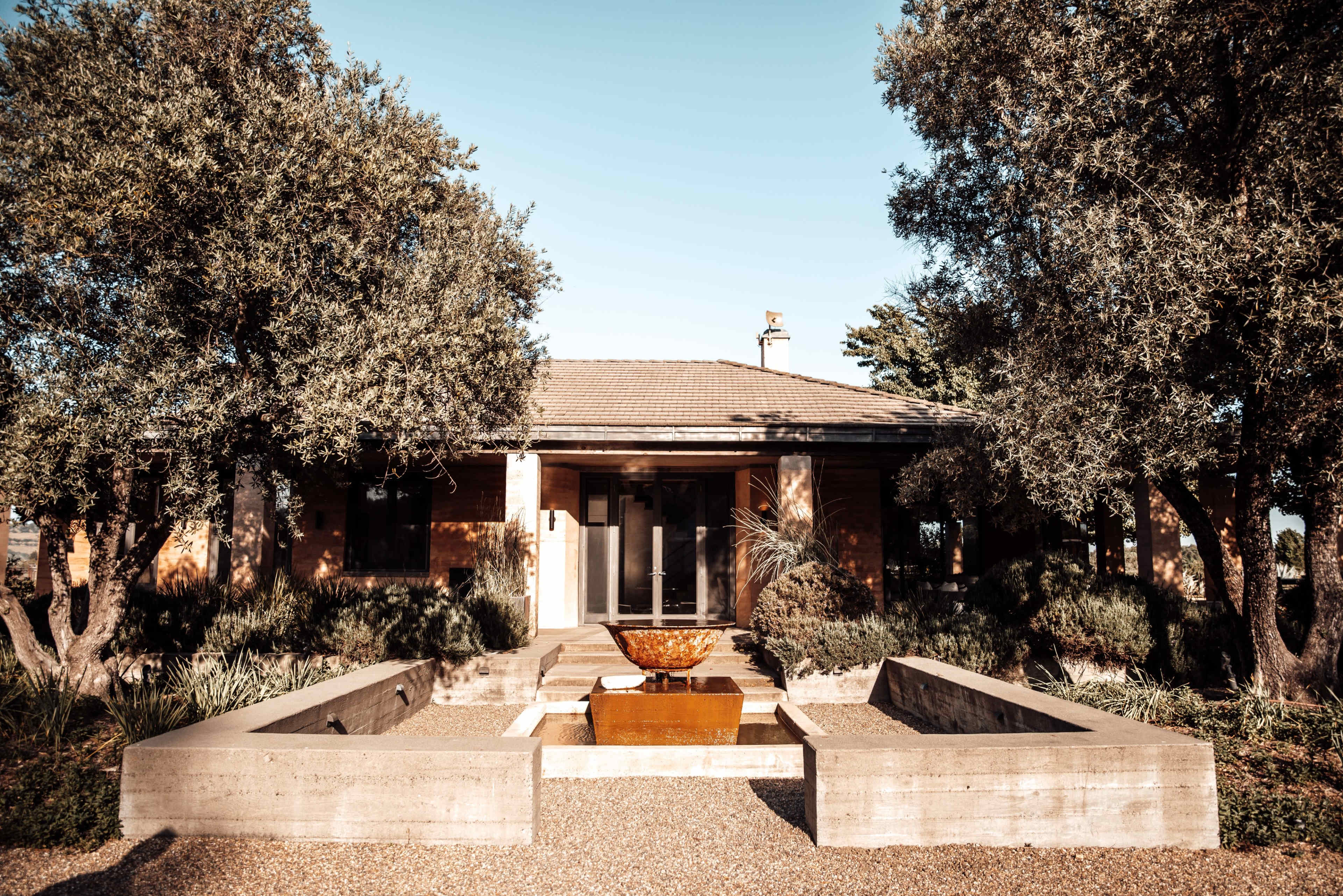 A modern house is framed by olive trees and features a central water feature made of concrete and metal.