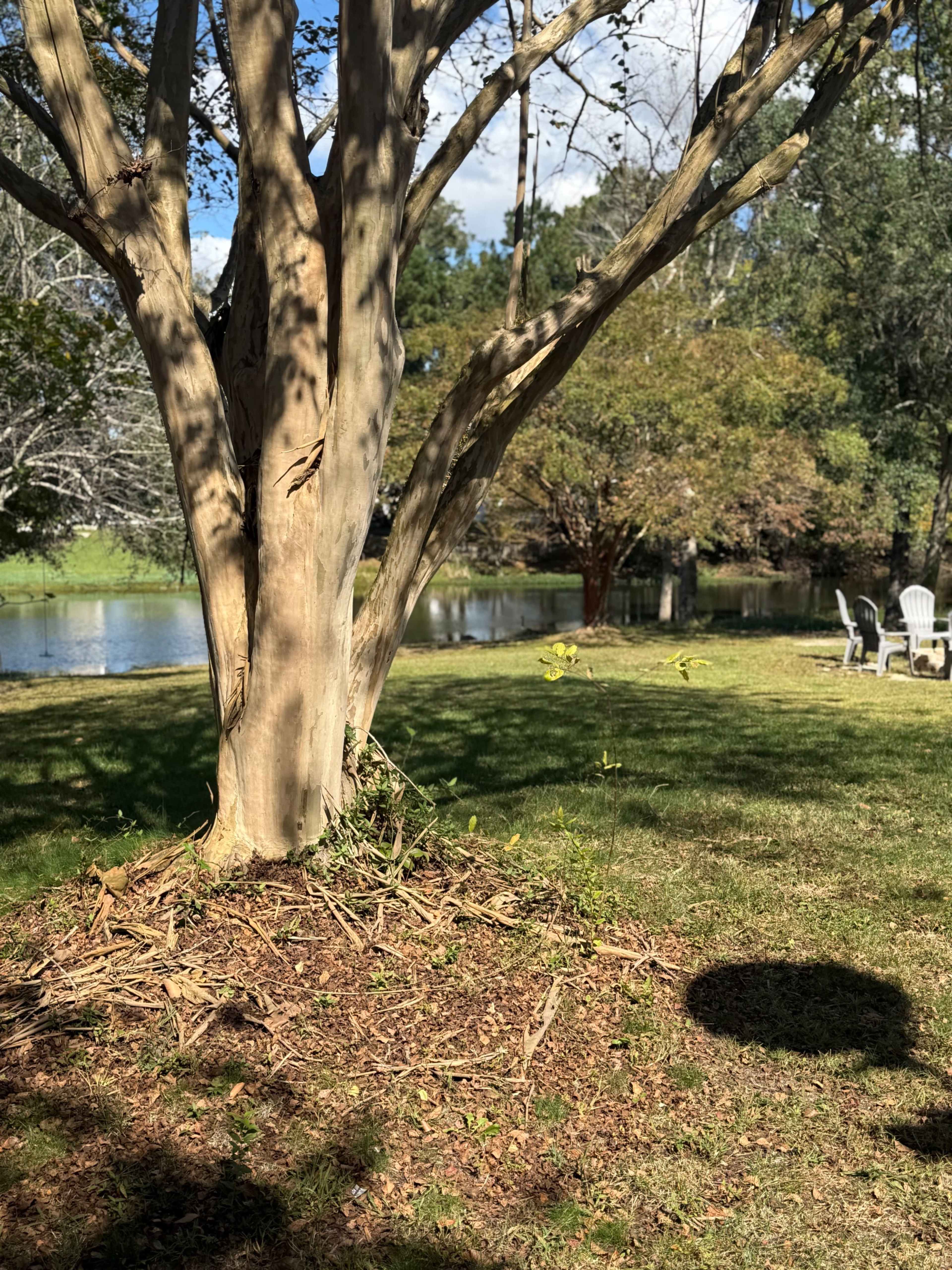 Experience the Most Beautiful Hidden Gem Image in Suffolk, Suffolk, VA