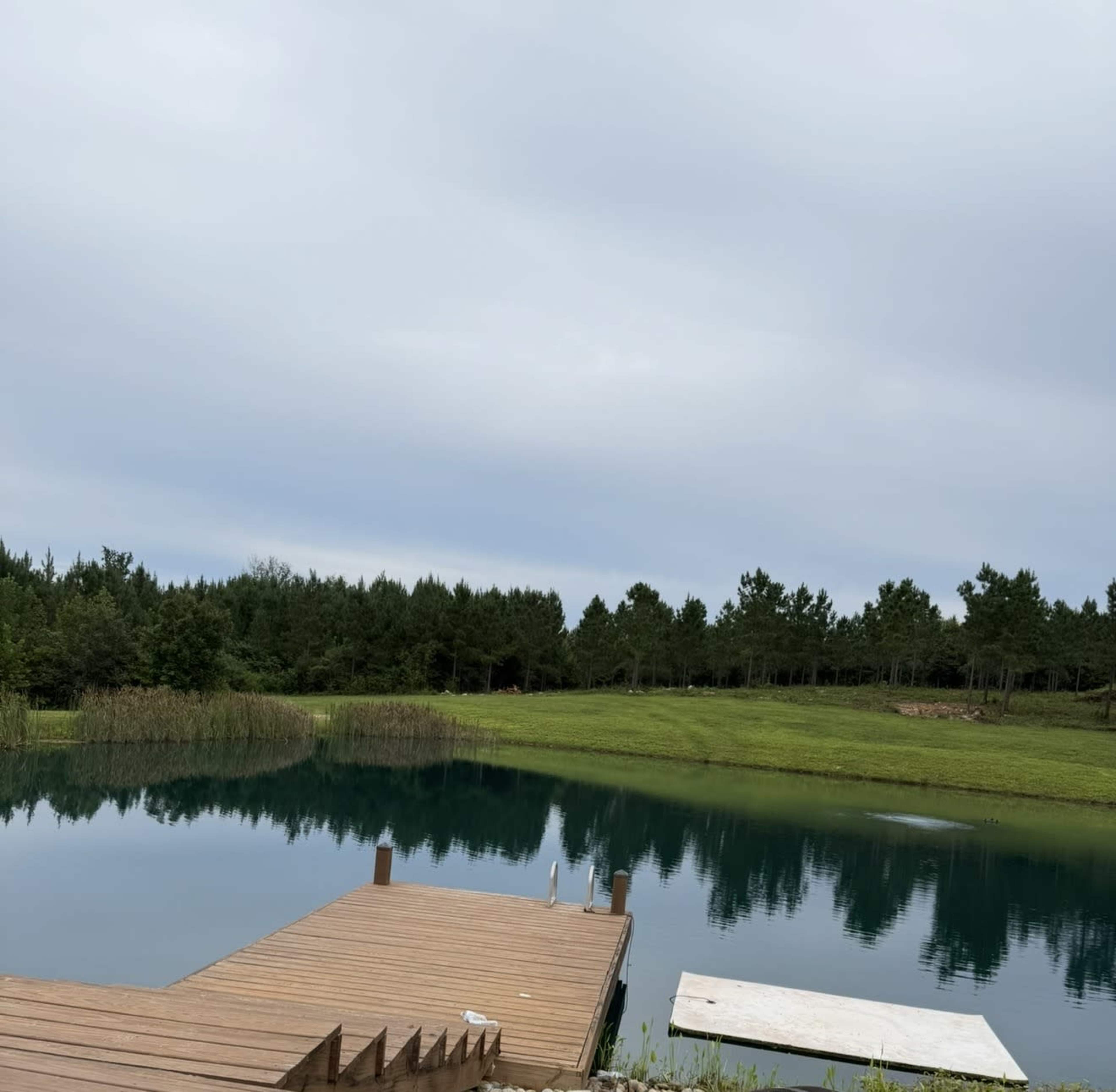 Scenic 90 acres with Pond Image in , Asheboro, NC