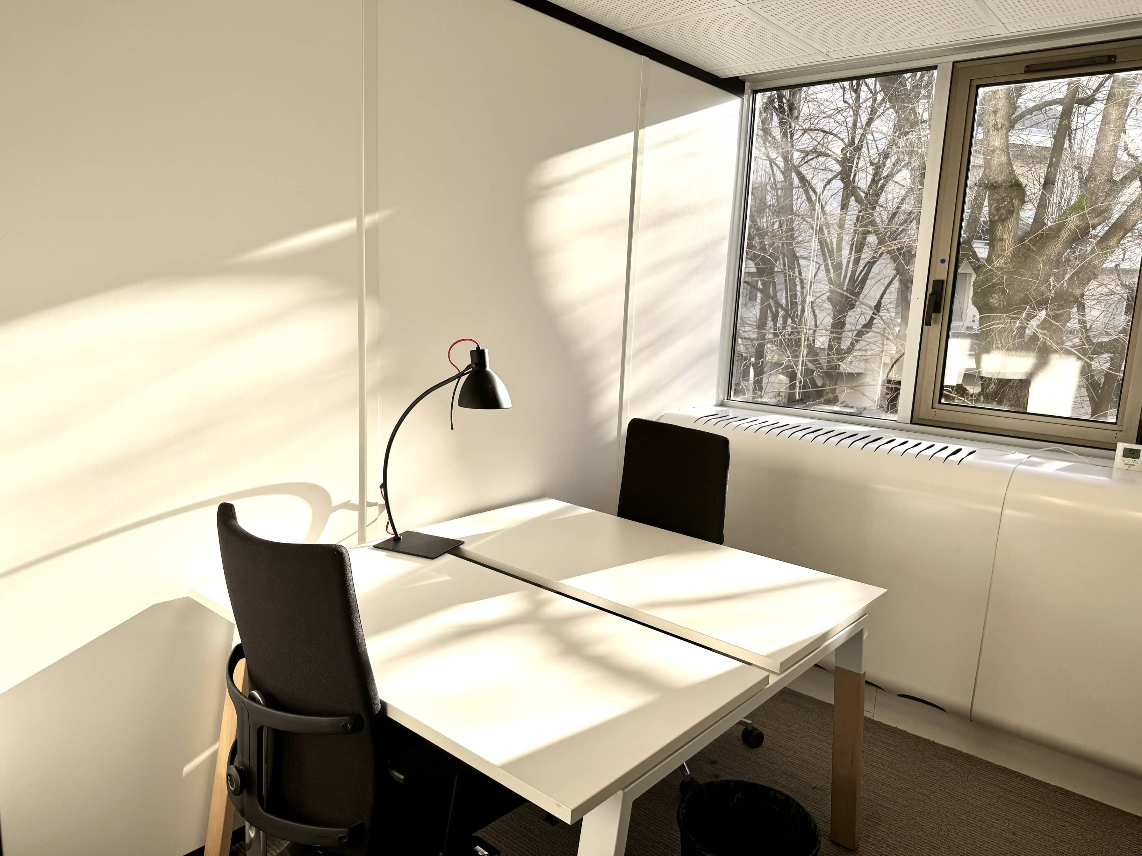 A bright office space features two desks, each with a chair, illuminated by natural light streaming through a large window.