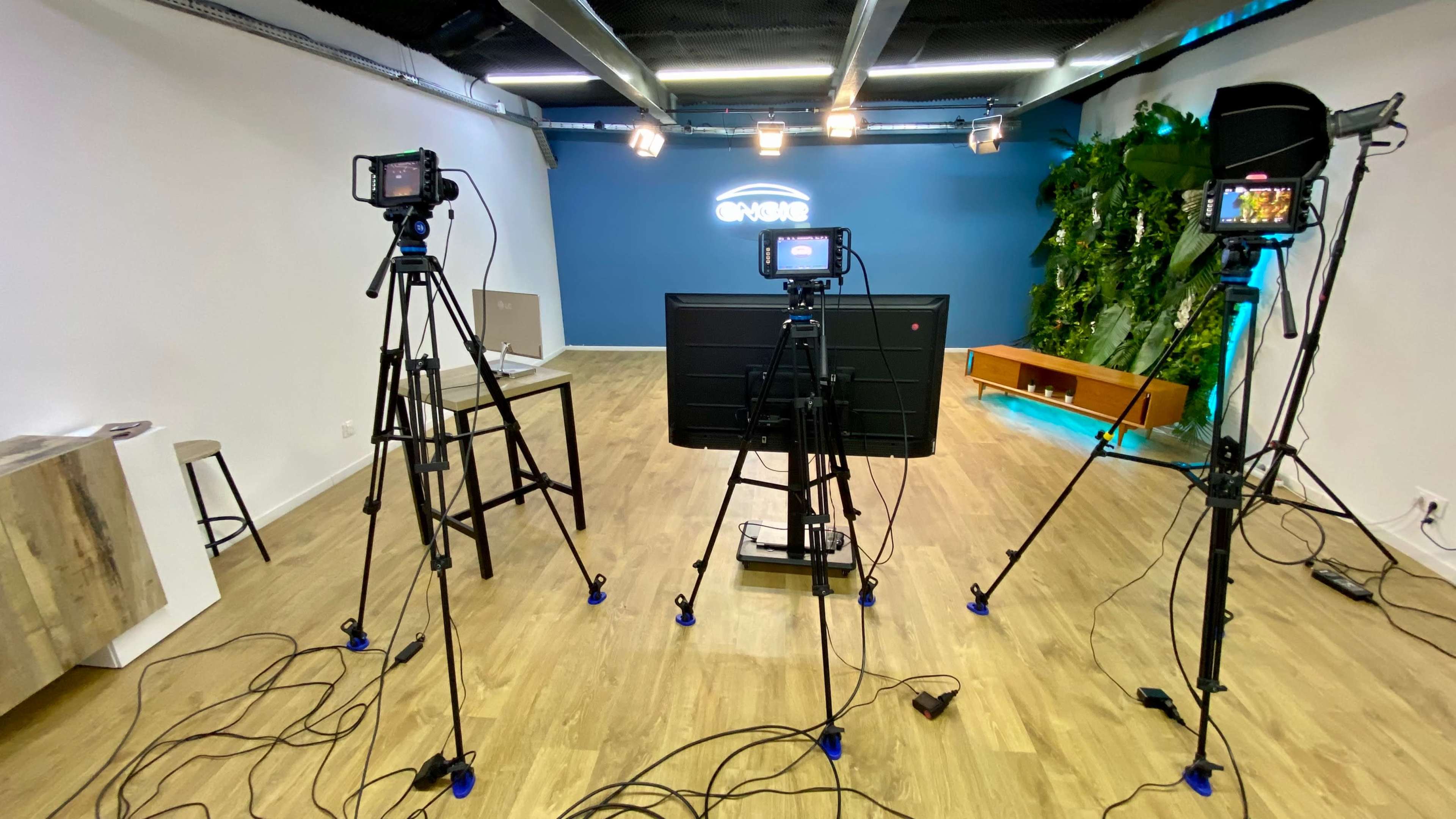 A modern studio setup with three camera tripods facing a large monitor, surrounded by green plants and a blue wall.