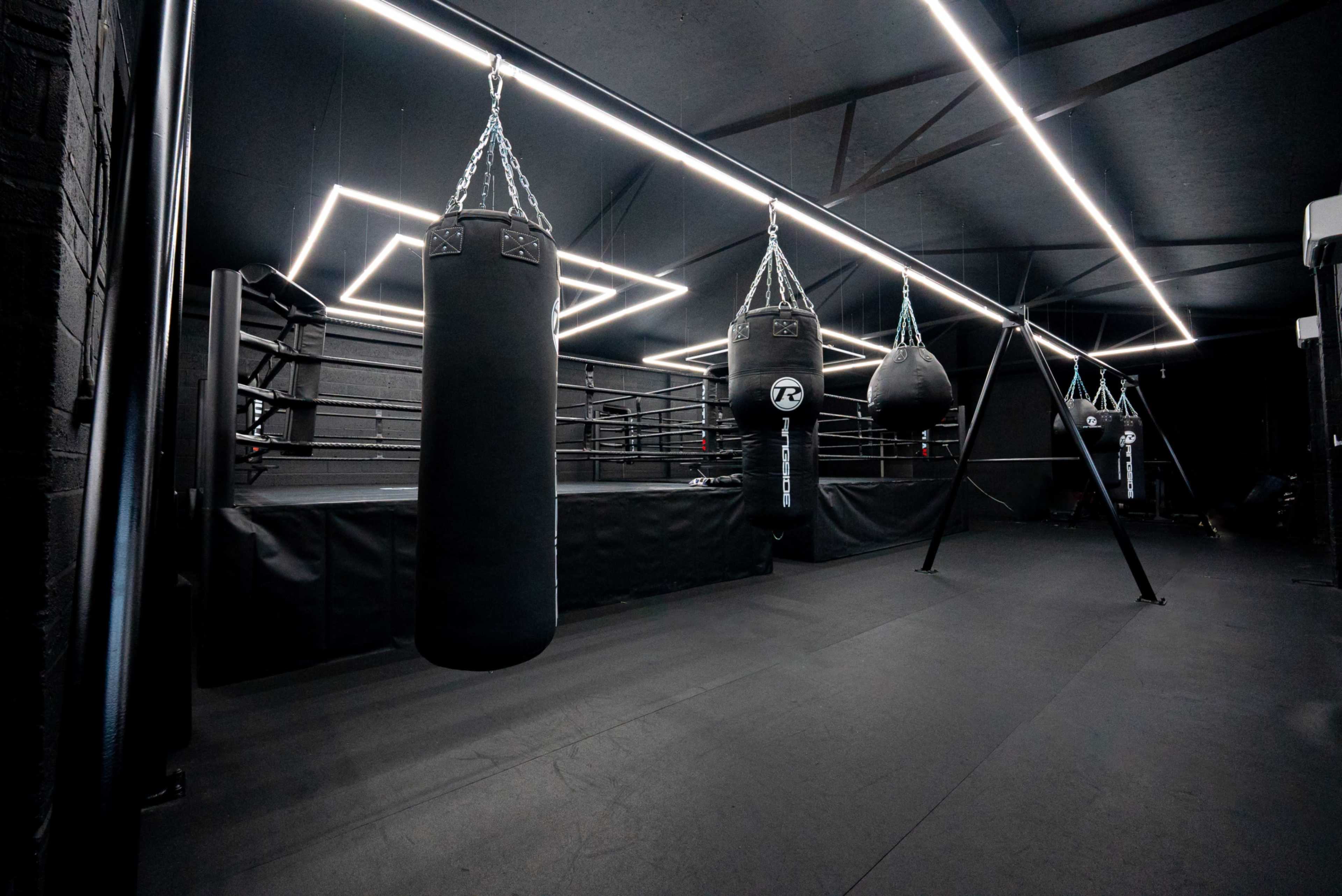 The image shows a boxing gym featuring multiple hanging punching bags and a well-lit training area with a boxing ring in the background.