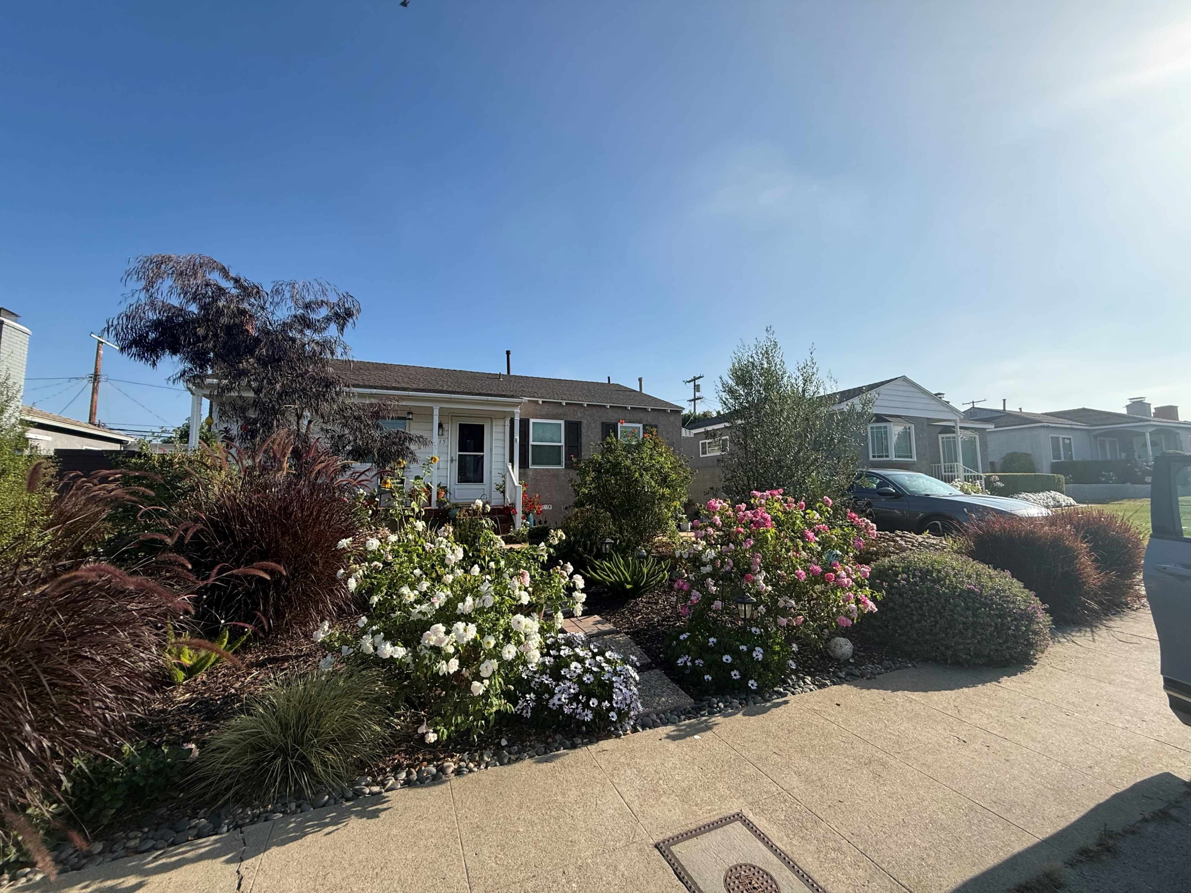 A single-story house with a front garden featuring various flowers and shrubs is visible, along with parked cars on the street.