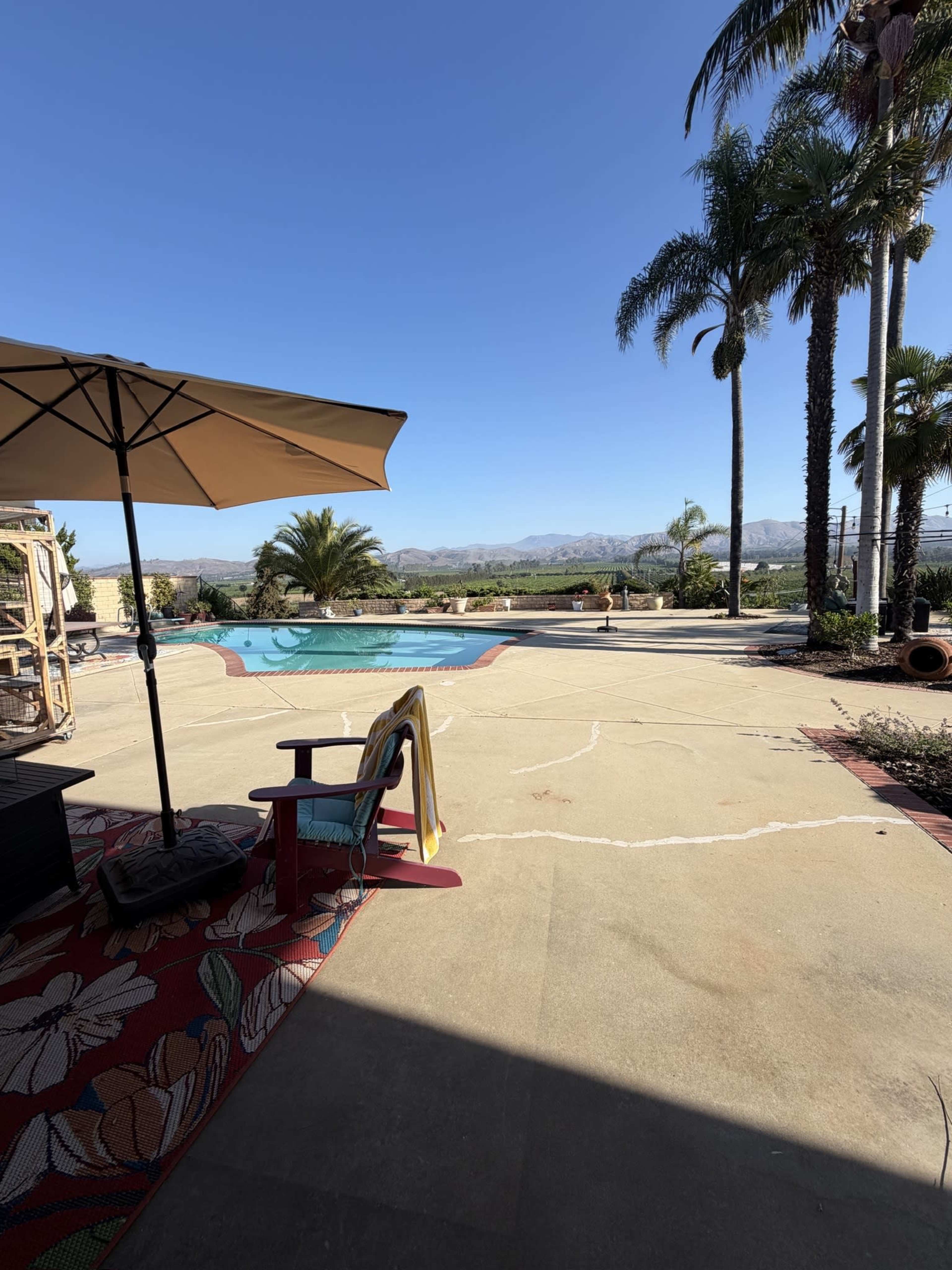 The image shows a pool area with a concrete deck, landscaped with palm trees and mountains in the background under a clear blue sky.
