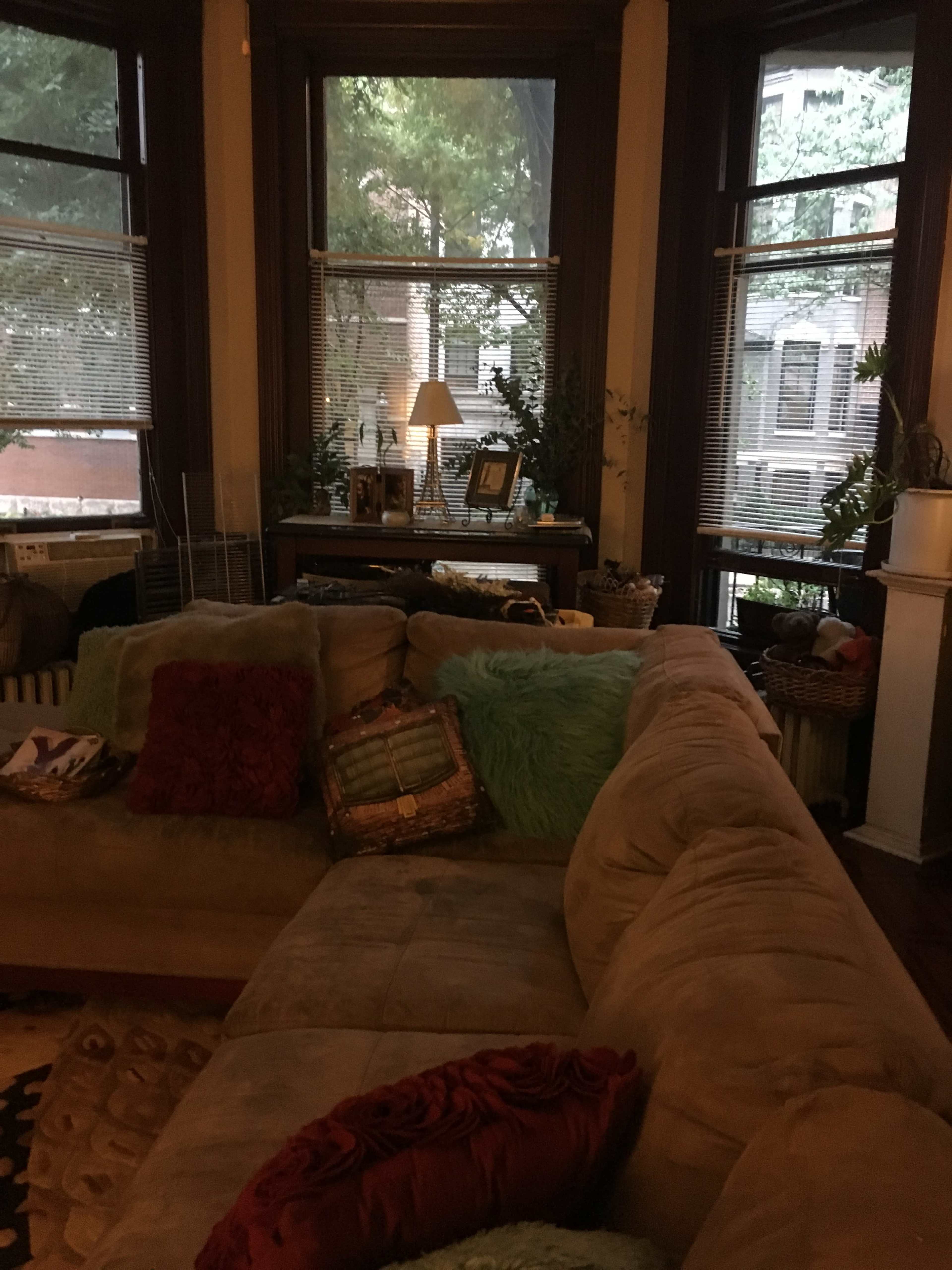 Gorgeous Apartment with Vintage Details Image in Near North Side, Chicago, IL