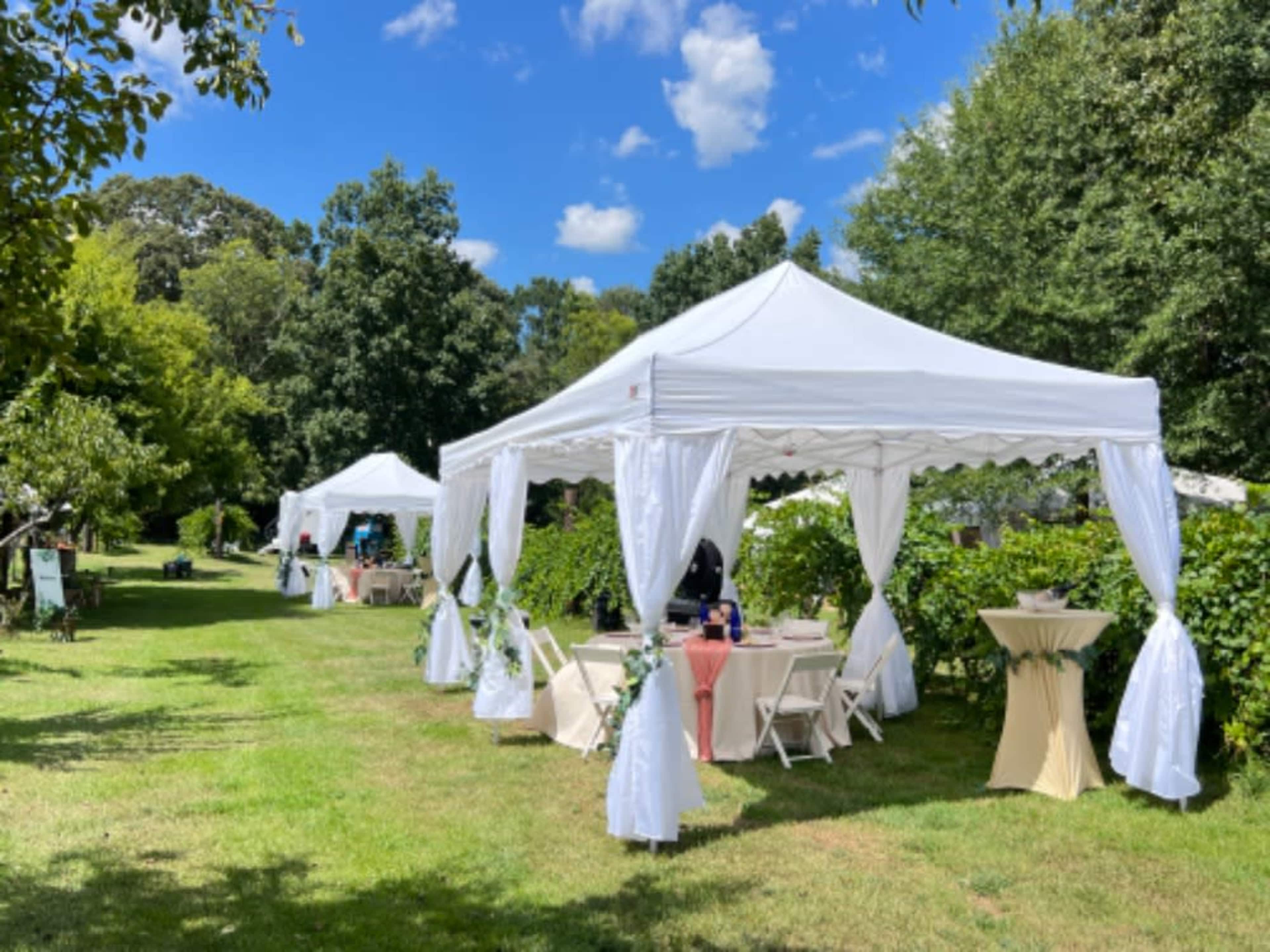 White Canopy Shade Tent (set of 2)