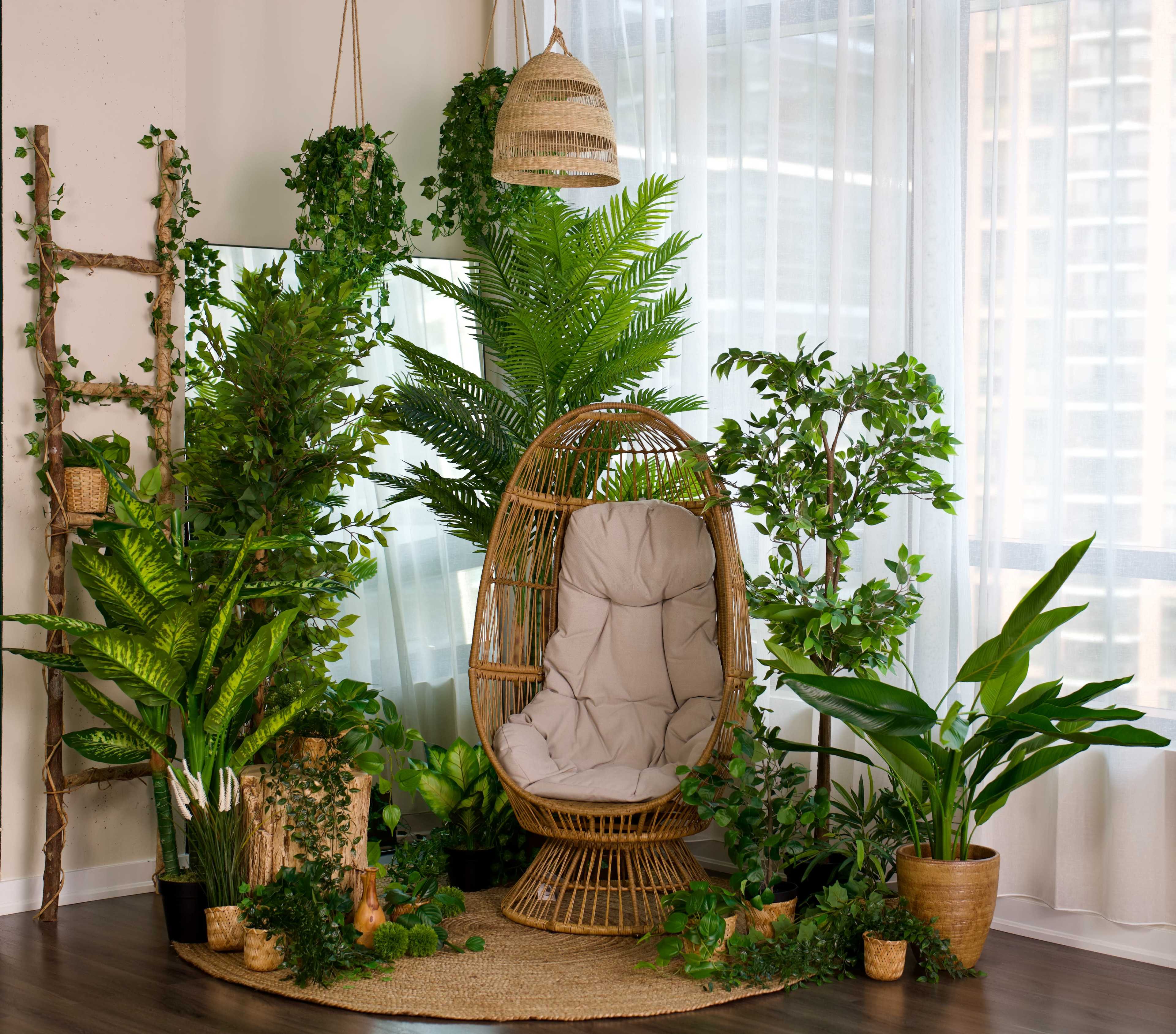 A cozy rattan hanging chair is surrounded by various indoor plants in a brightly lit room with sheer curtains.