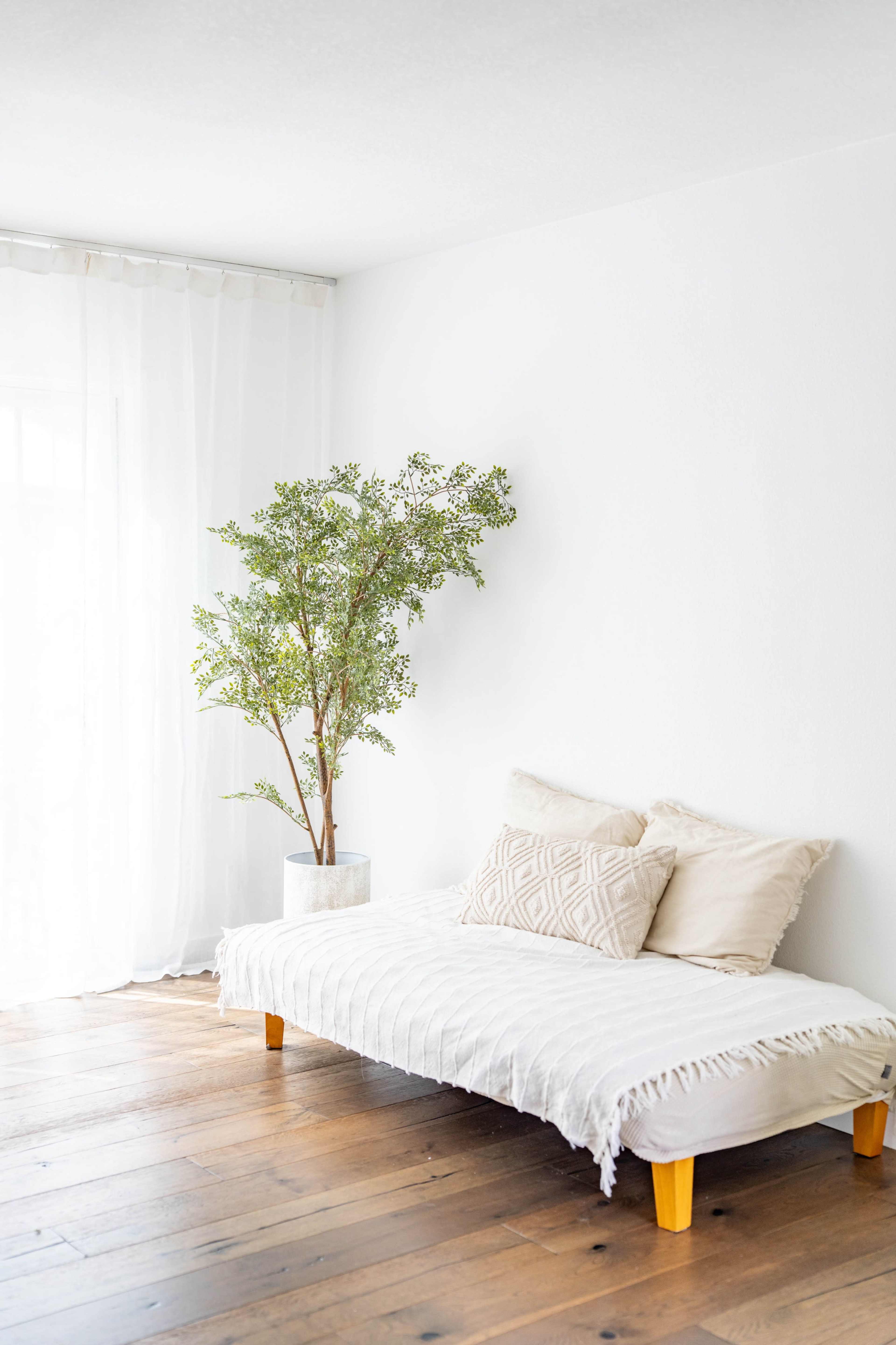 A minimalist living room features a daybed with two pillows and a potted plant in a light-filled space with wooden flooring.