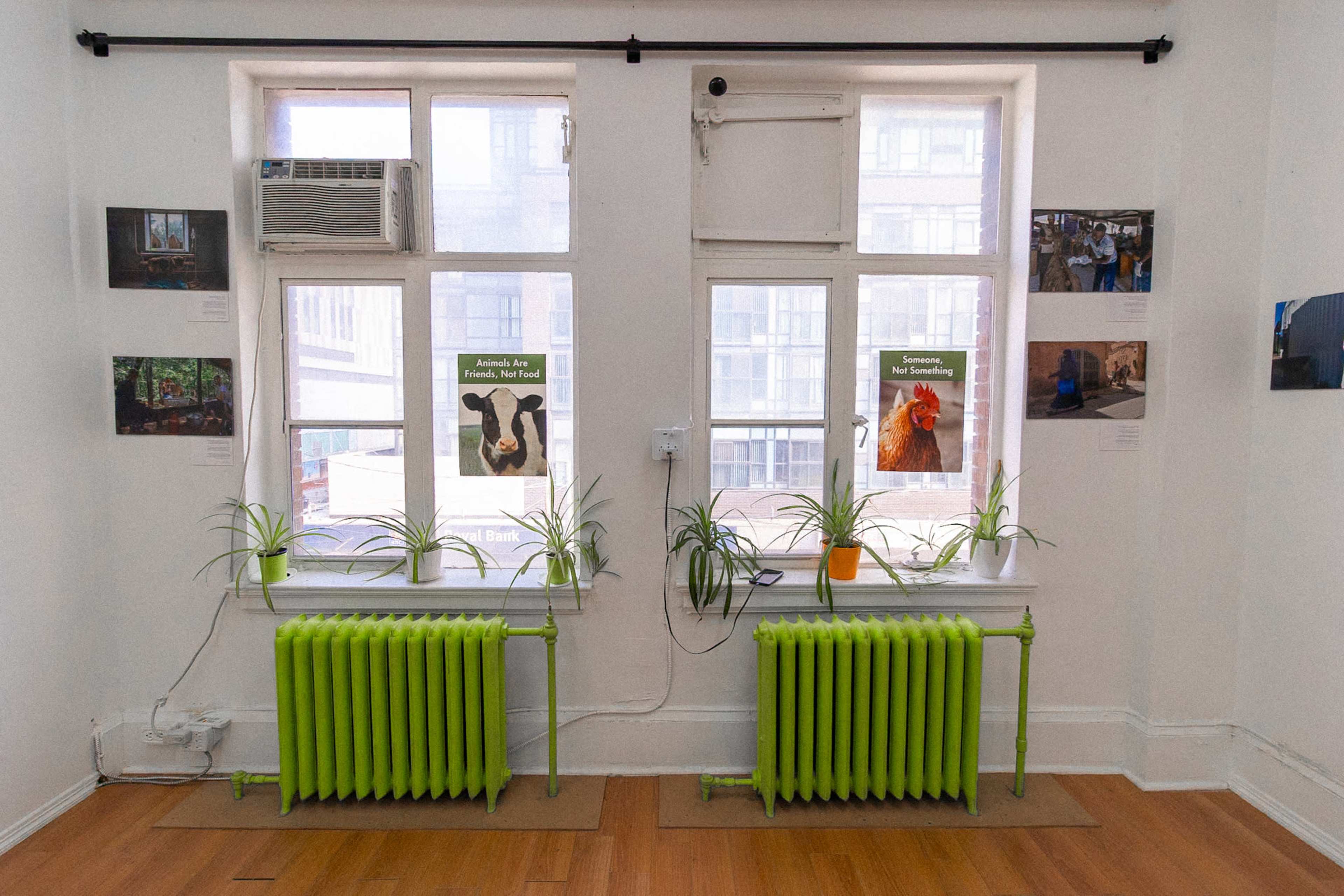 The image shows two windows with air conditioning units, flanked by green-painted radiators and potted plants, in a room featuring various photographs on the walls.