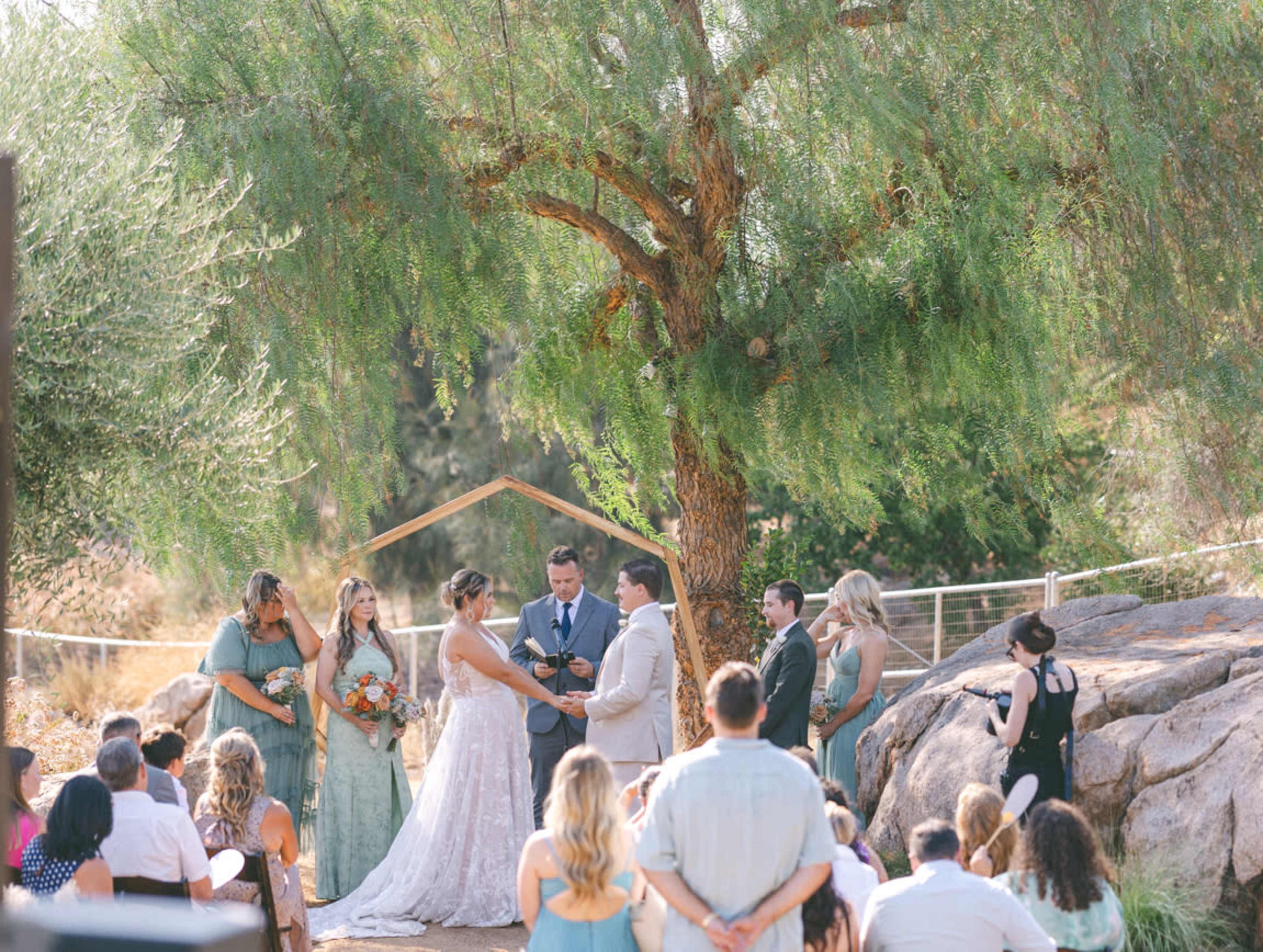 A wedding ceremony is taking place outdoors under a large tree, with the couple exchanging vows in front of family and friends seated on rocks and grass.