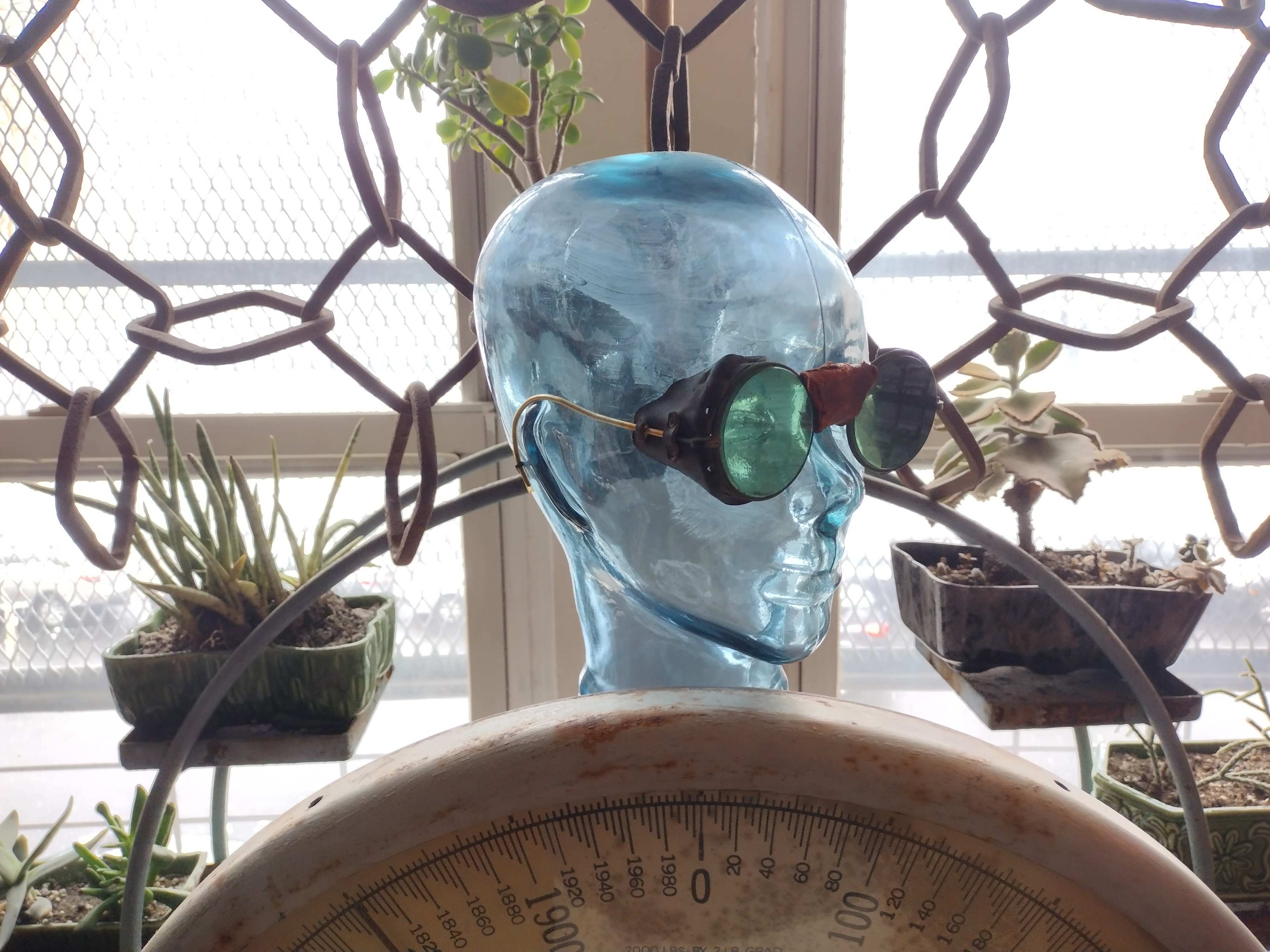 A blue transparent skull-shaped display with green-tinted glasses sits among potted plants and a scale in a sunlit room.