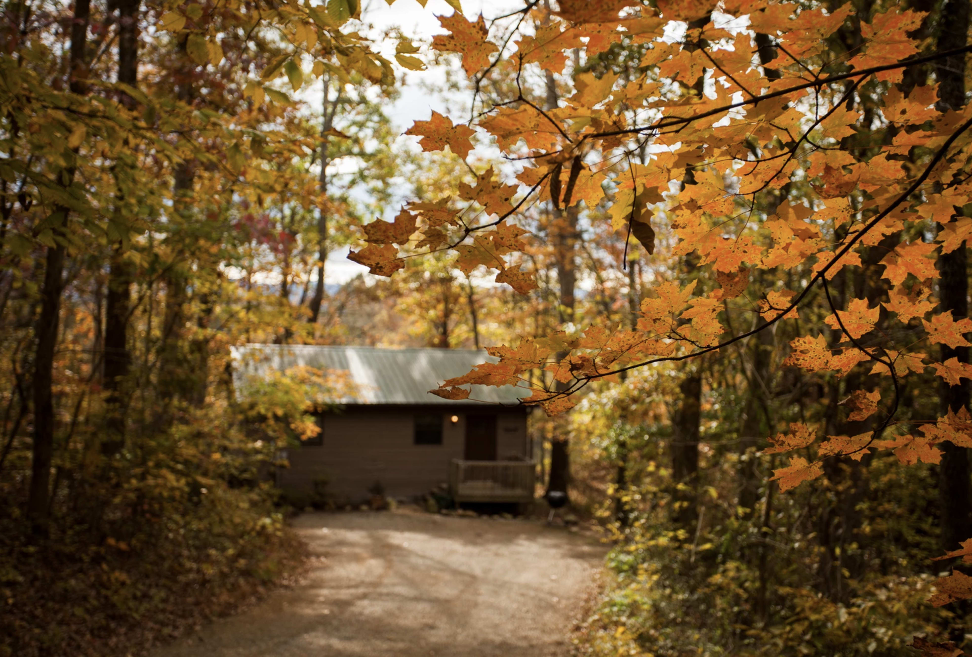 A small cabin sits at the end of a gravel road, surrounded by trees with autumn leaves.