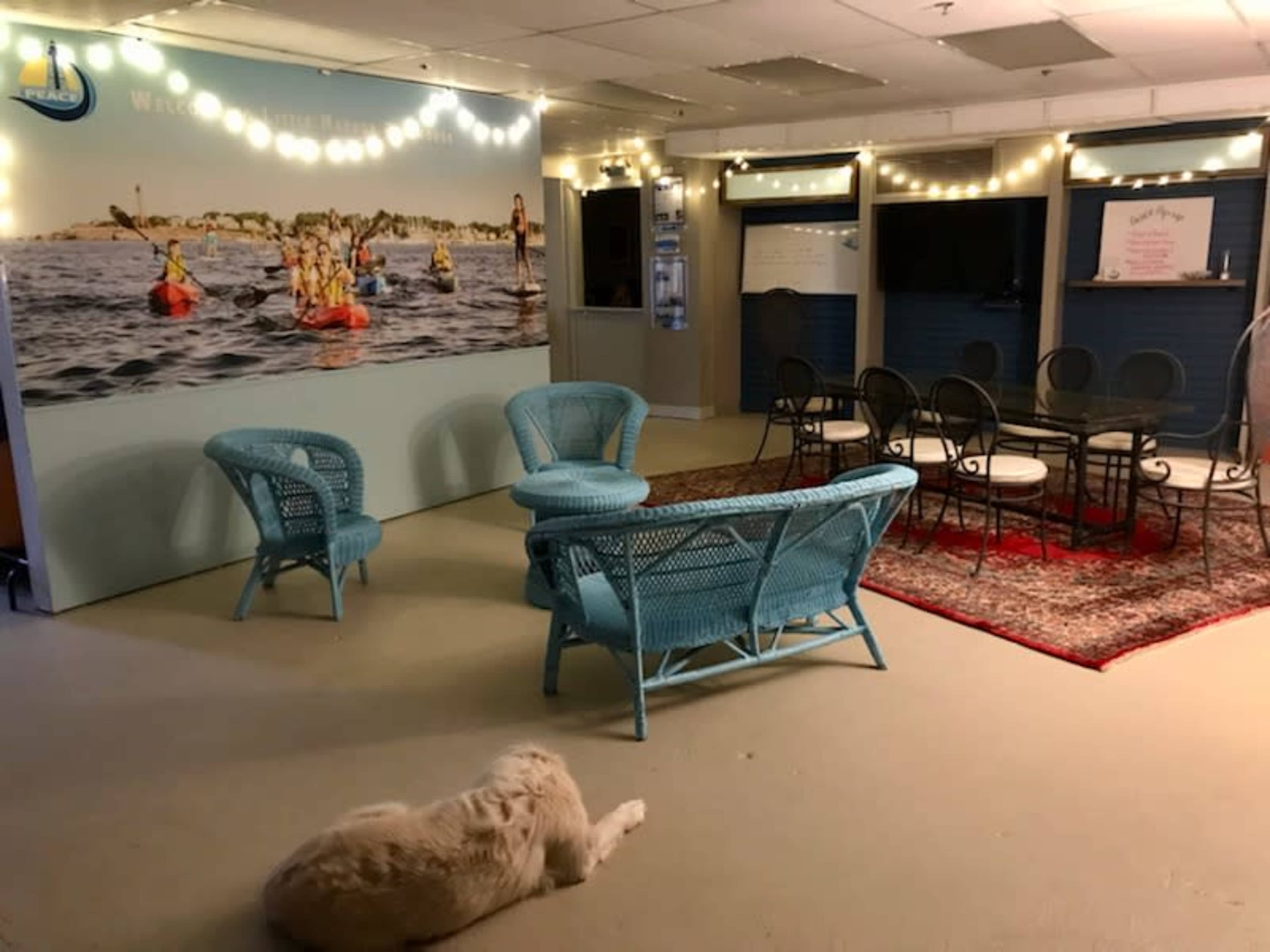 A spacious indoor area with blue wicker furniture, a patterned rug, and a large mural of people kayaking in the background.