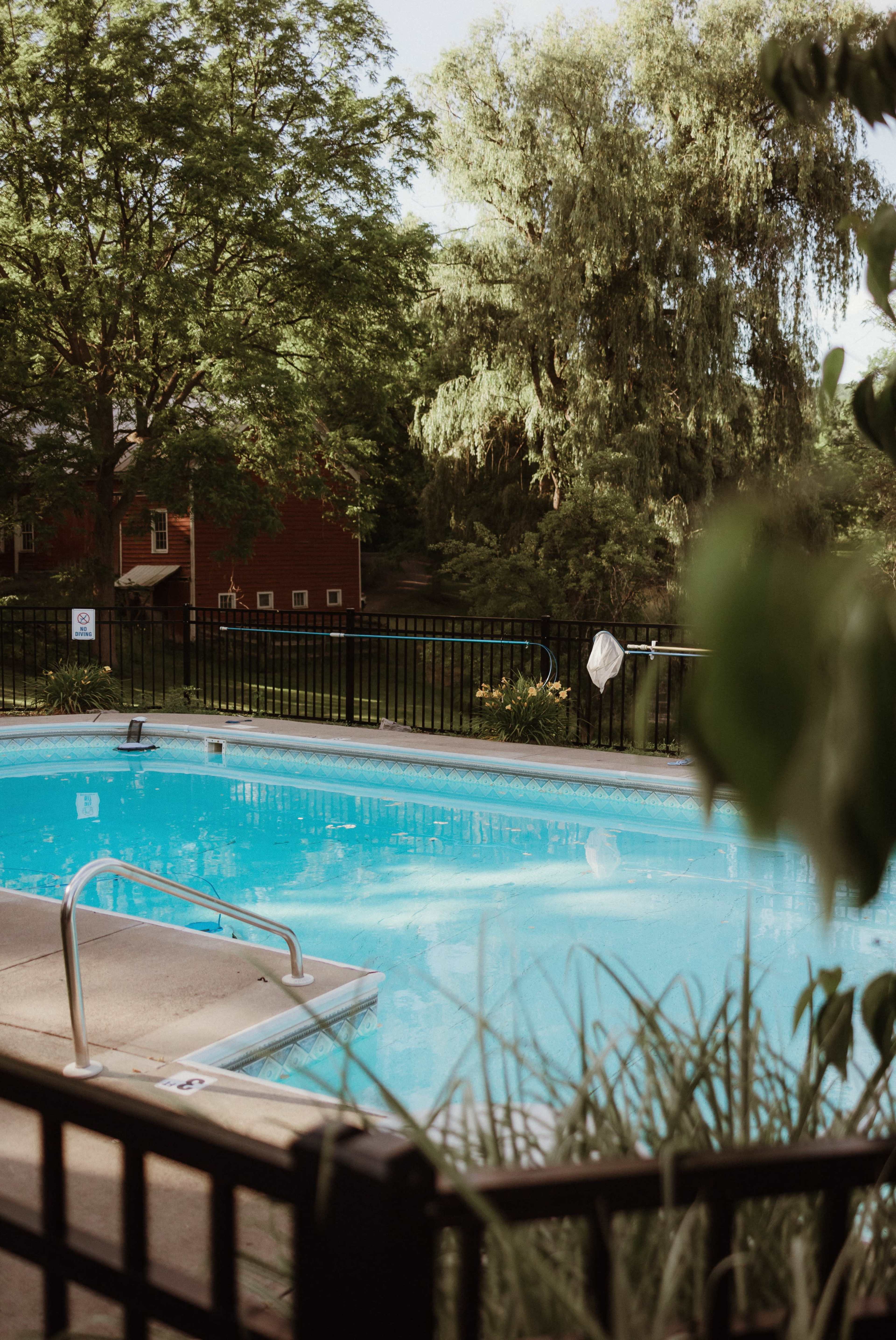 A clear swimming pool surrounded by greenery and a black metal fence.
