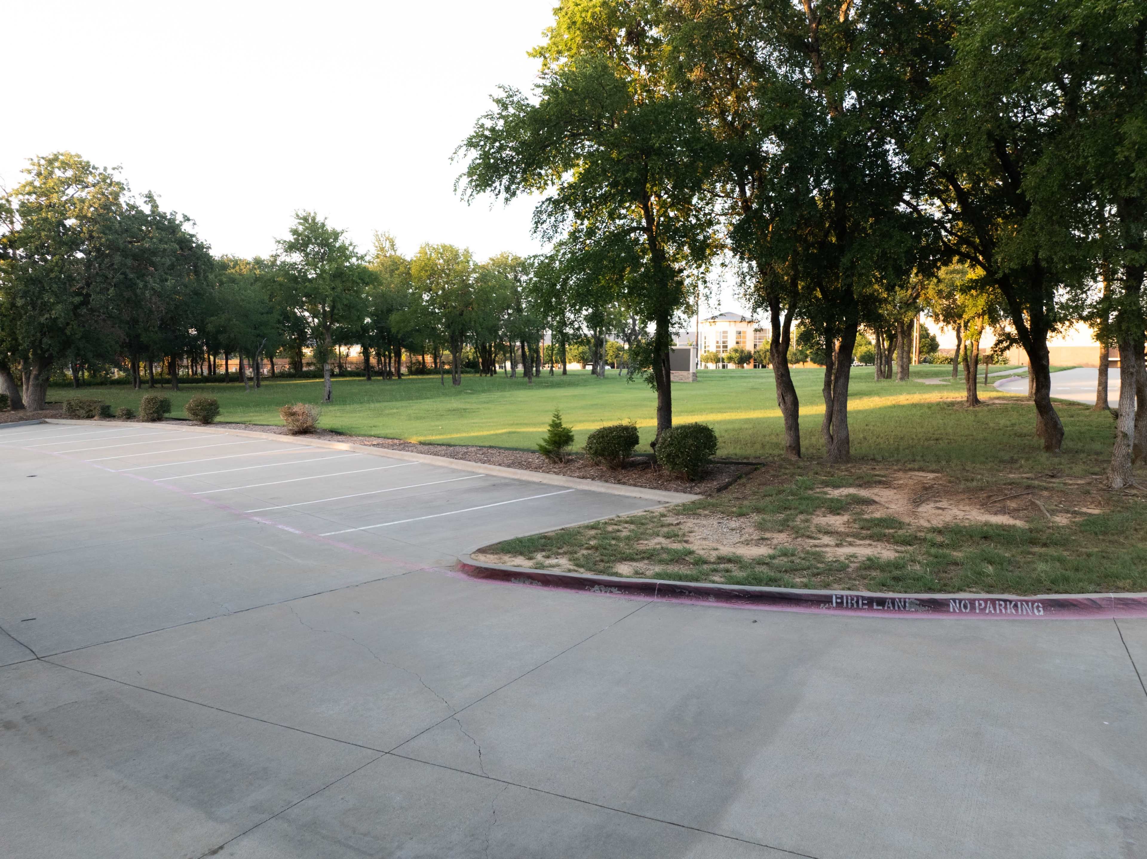 The image shows a vacant parking lot beside a grassy area with trees and shrubs.