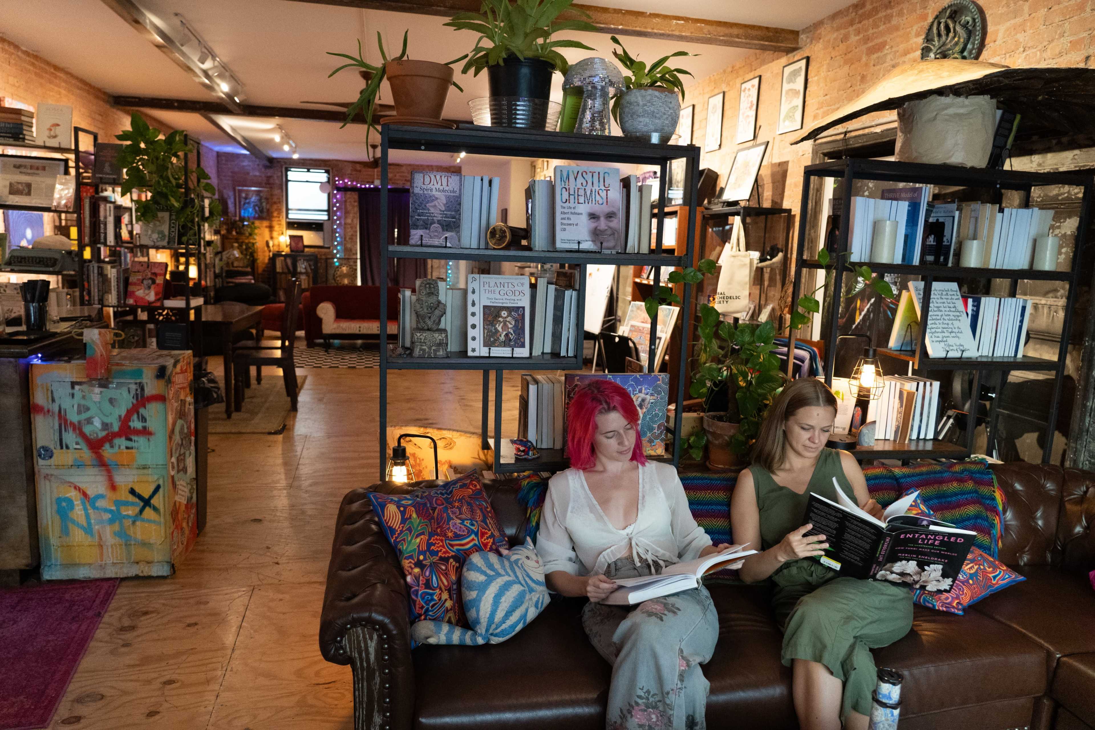 A Consciousness Focused Private Library in Midtown Image in Midtown Manhattan, New York, NY