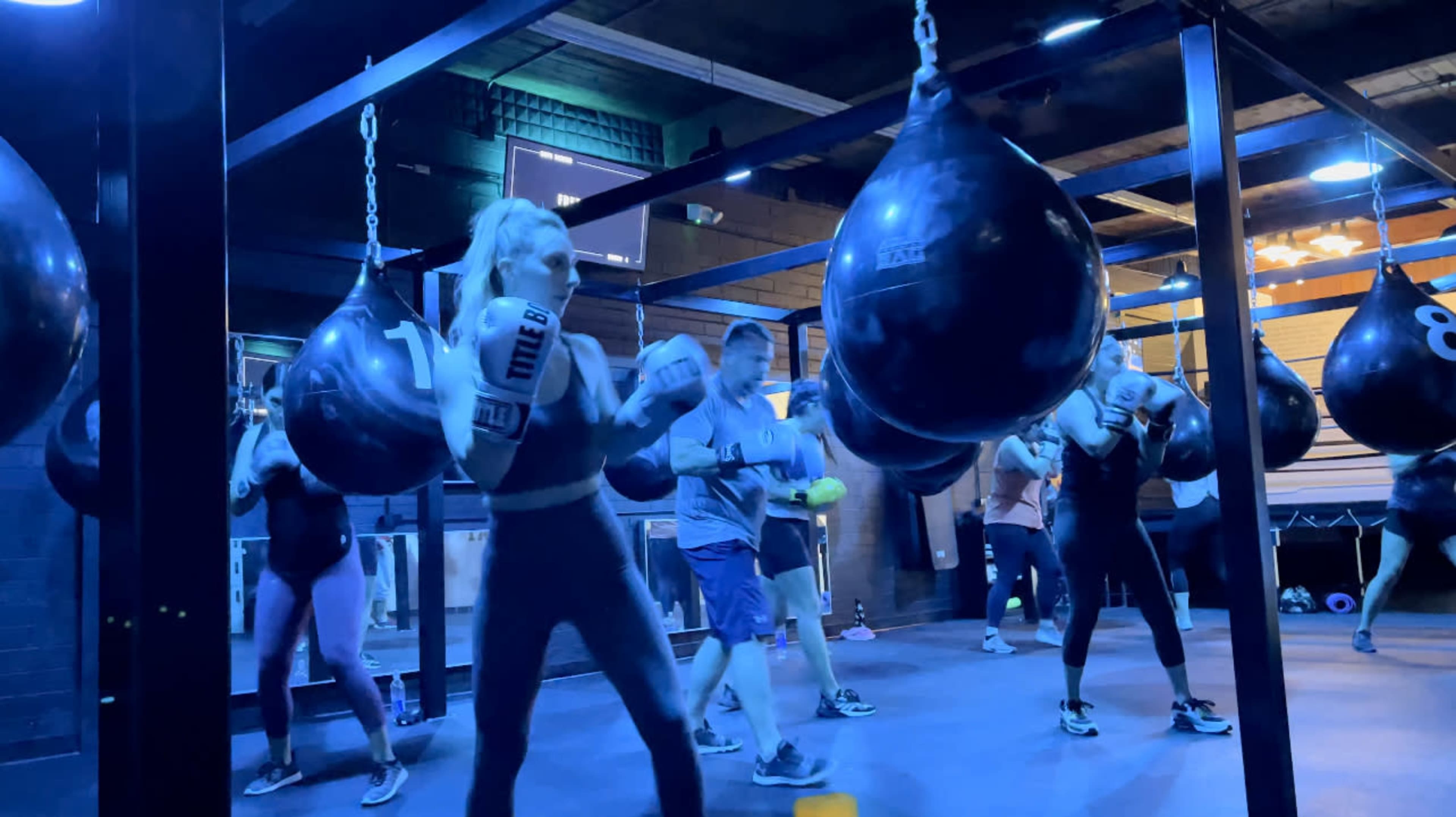 A group of people is training in a dimly lit gym, each engaged in activities with heavy punching bags suspended from the ceiling.