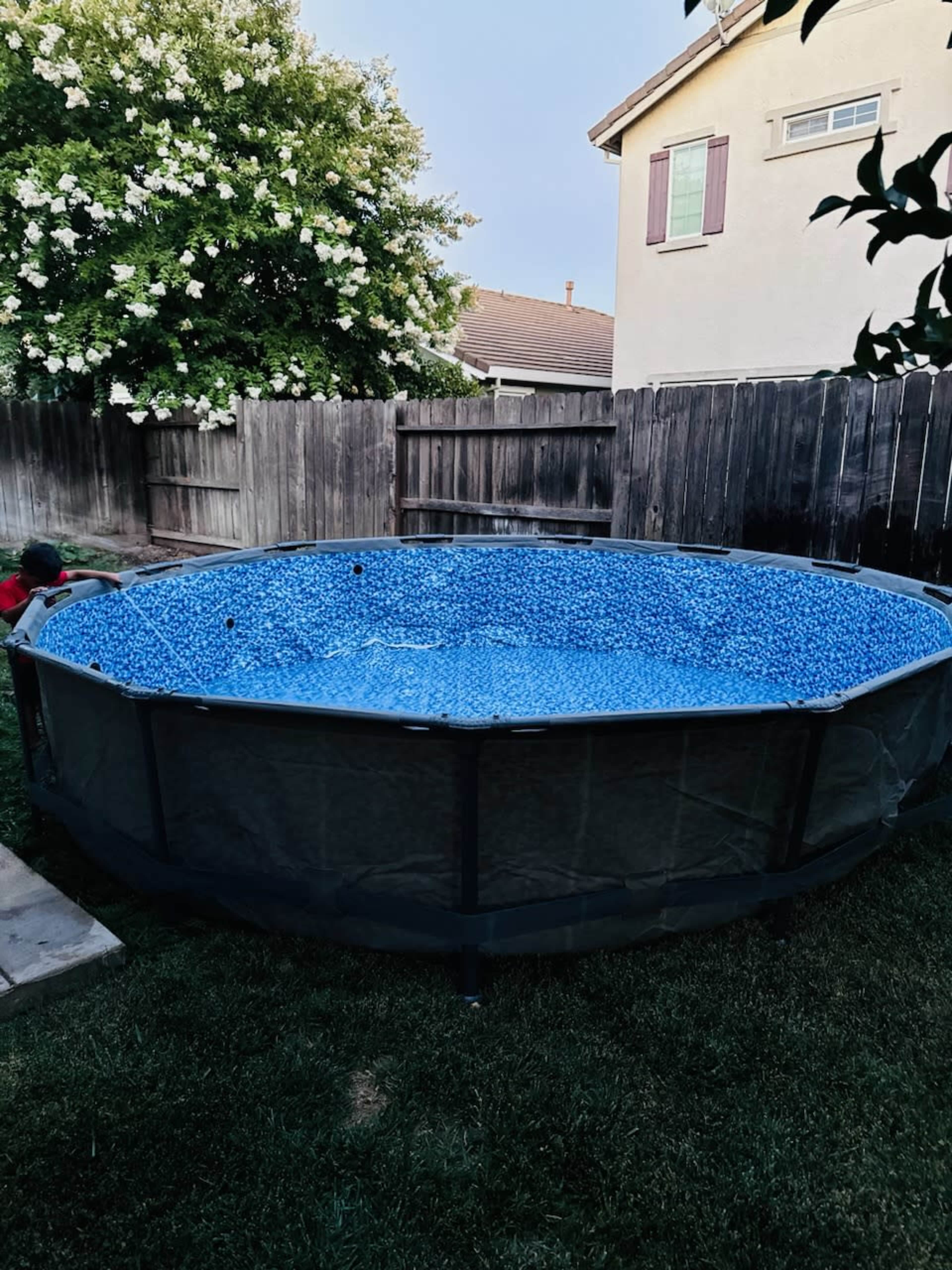 A circular above-ground pool filled with blue water is set on green grass beside a wooden fence and a flowering bush.