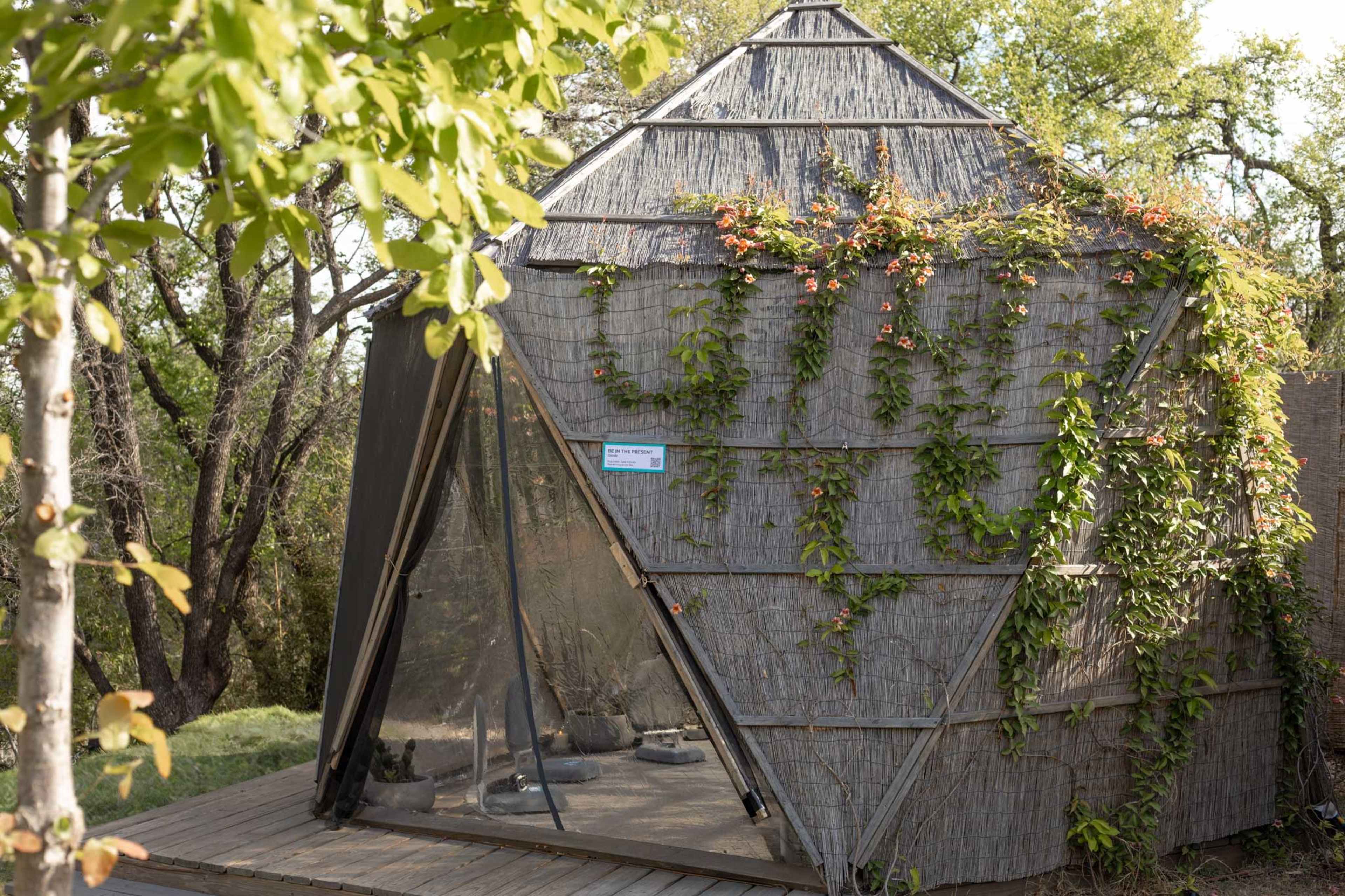 The image shows a unique, pyramid-shaped structure covered in plants and vines, situated among trees in a natural setting.