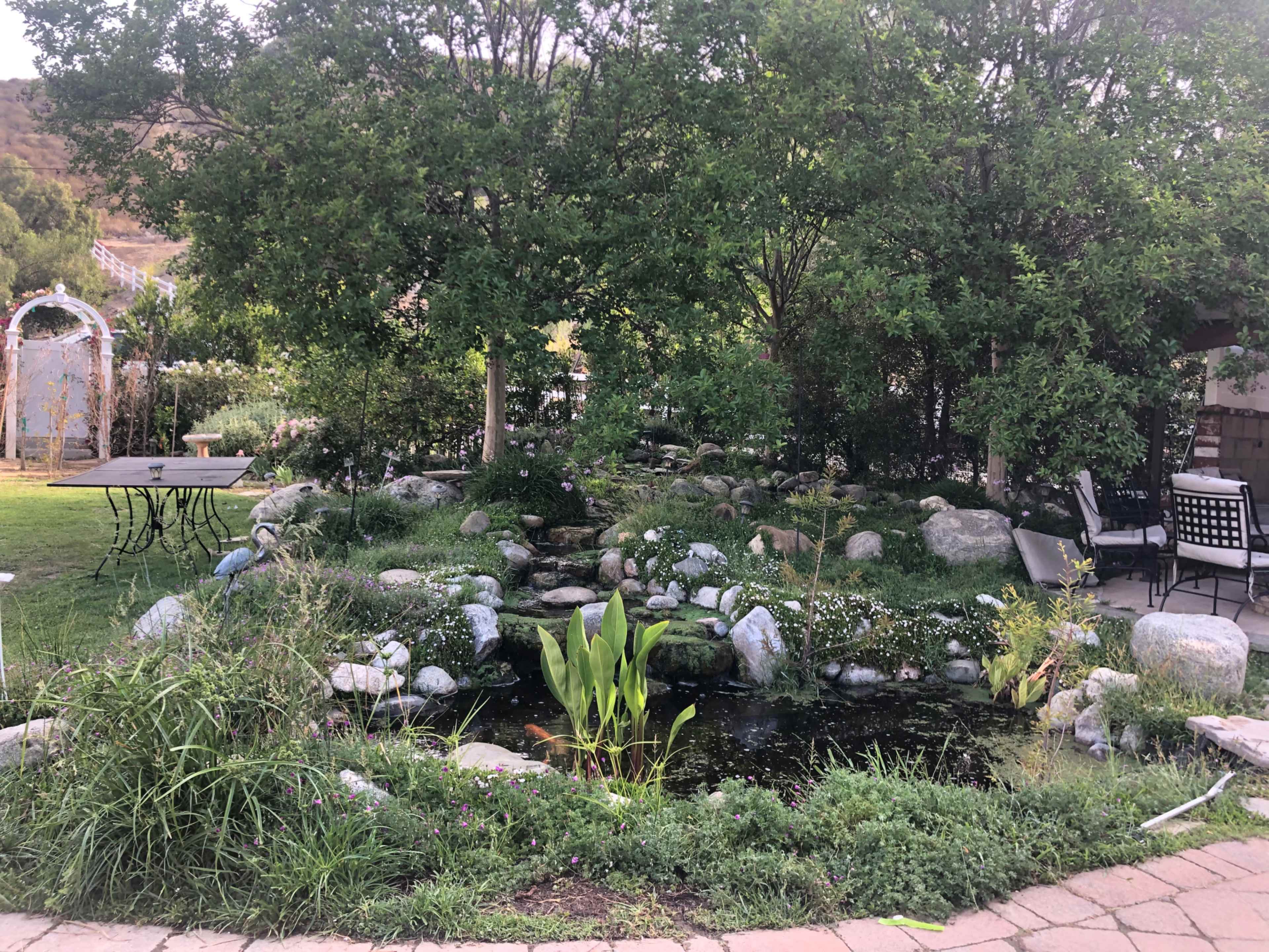 A landscaped garden features a small pond surrounded by rocks, vegetation, and seating areas under trees.