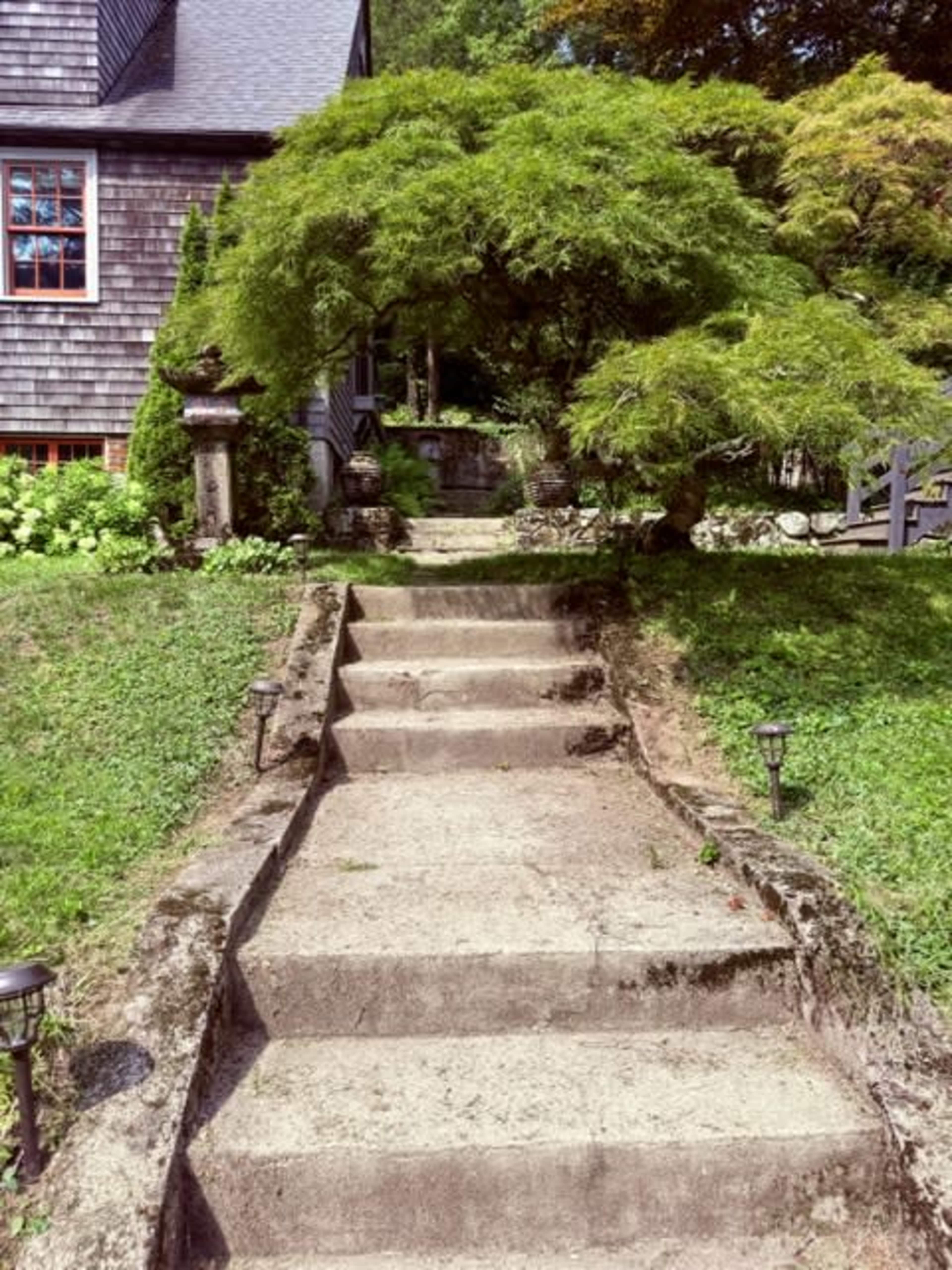 A stone pathway with steps leads up to a house, bordered by greenery and a large tree arching overhead.