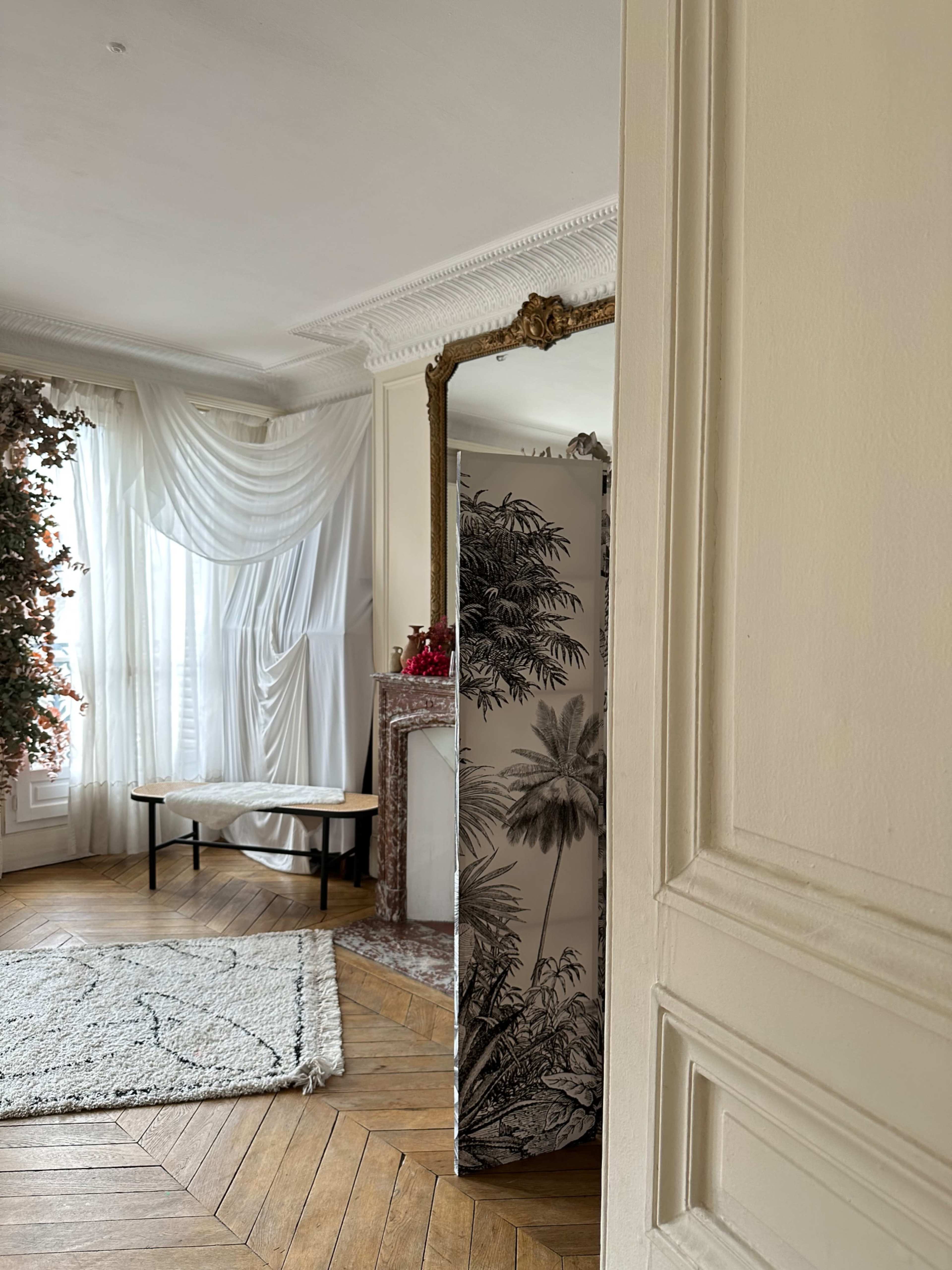 Salon Hausmannien Image dans Faubourg-Montmartre, Paris, 