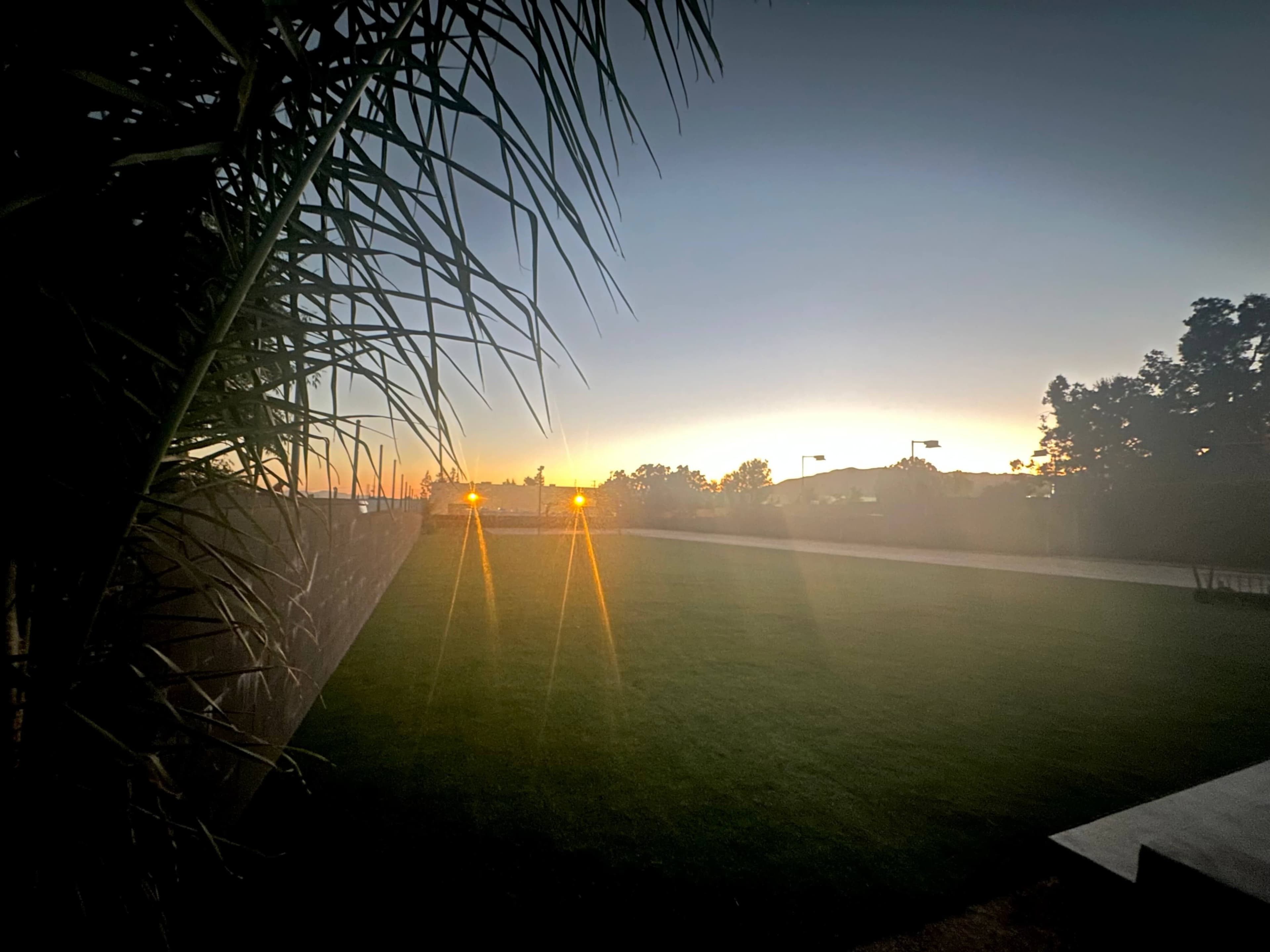 The image shows a grassy area at twilight with faint lights illuminating the scene and a line of trees in the background.