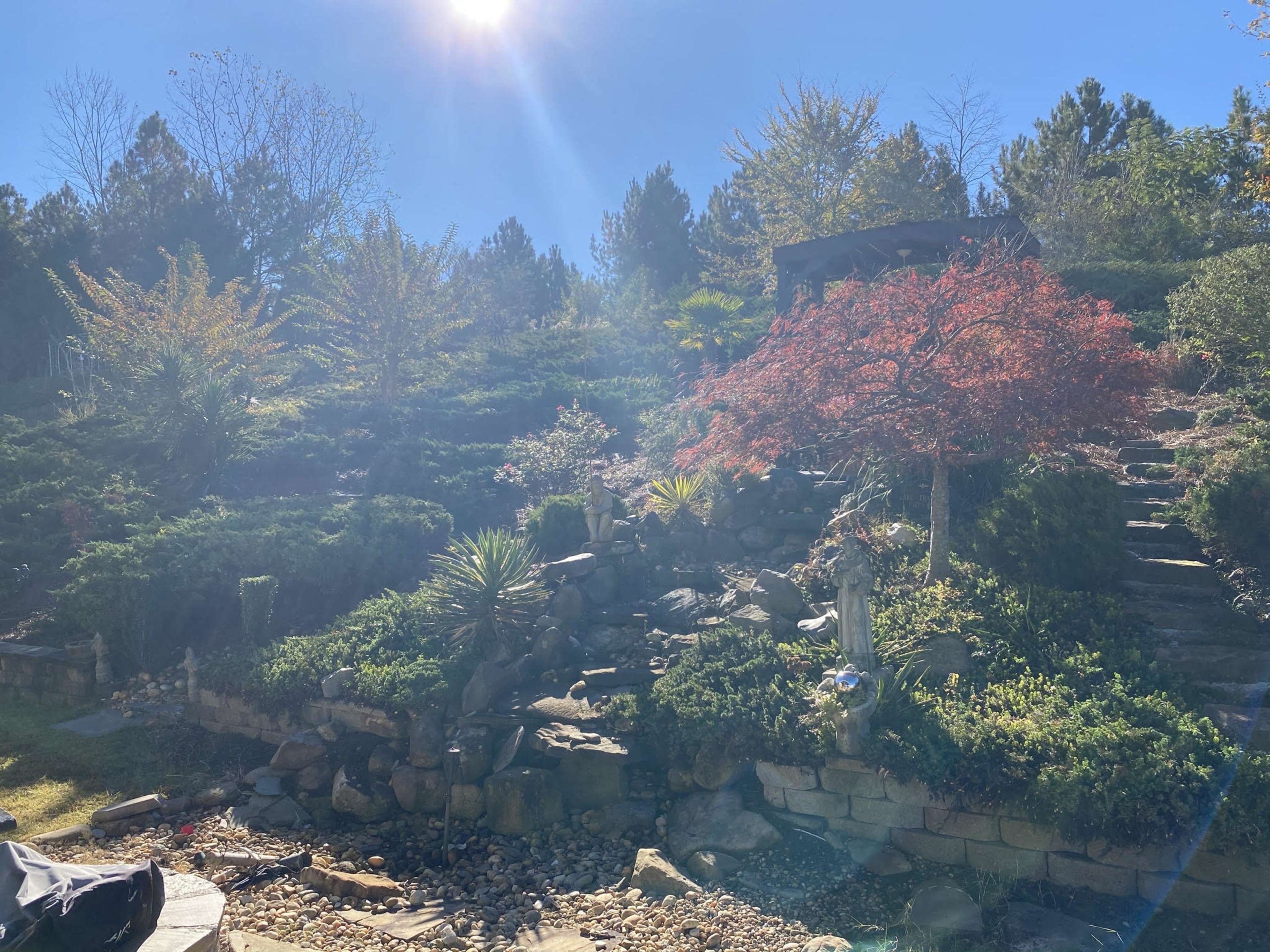 A landscaped garden with a variety of plants, a rocky water feature, and a staircase leading up to a shaded structure.