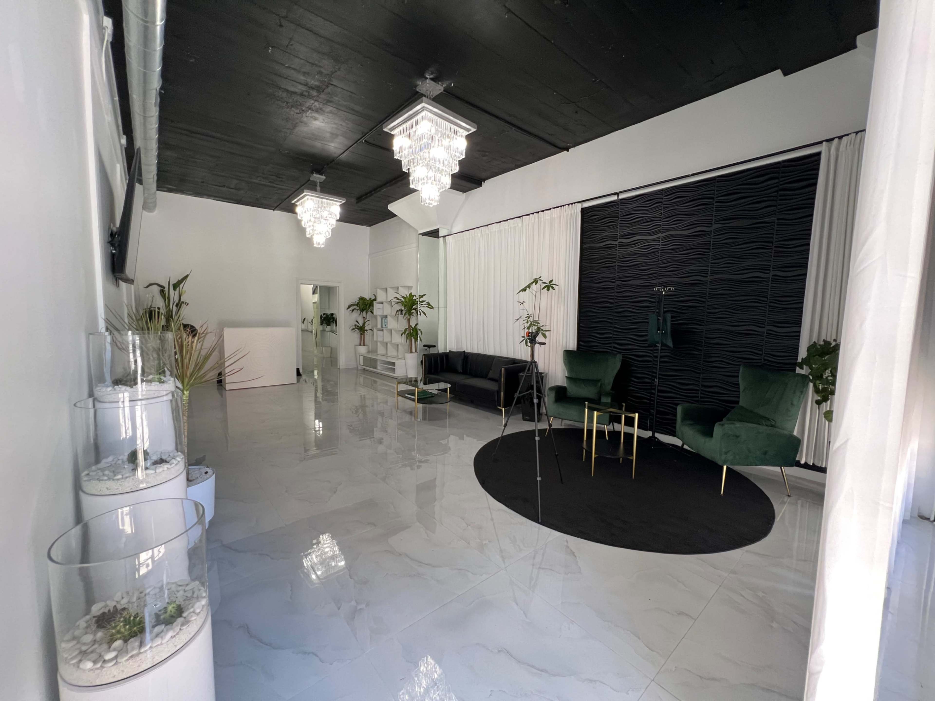 Midtown Modern Luxury with Calming Elegance Image in Edgewater, miami, FL