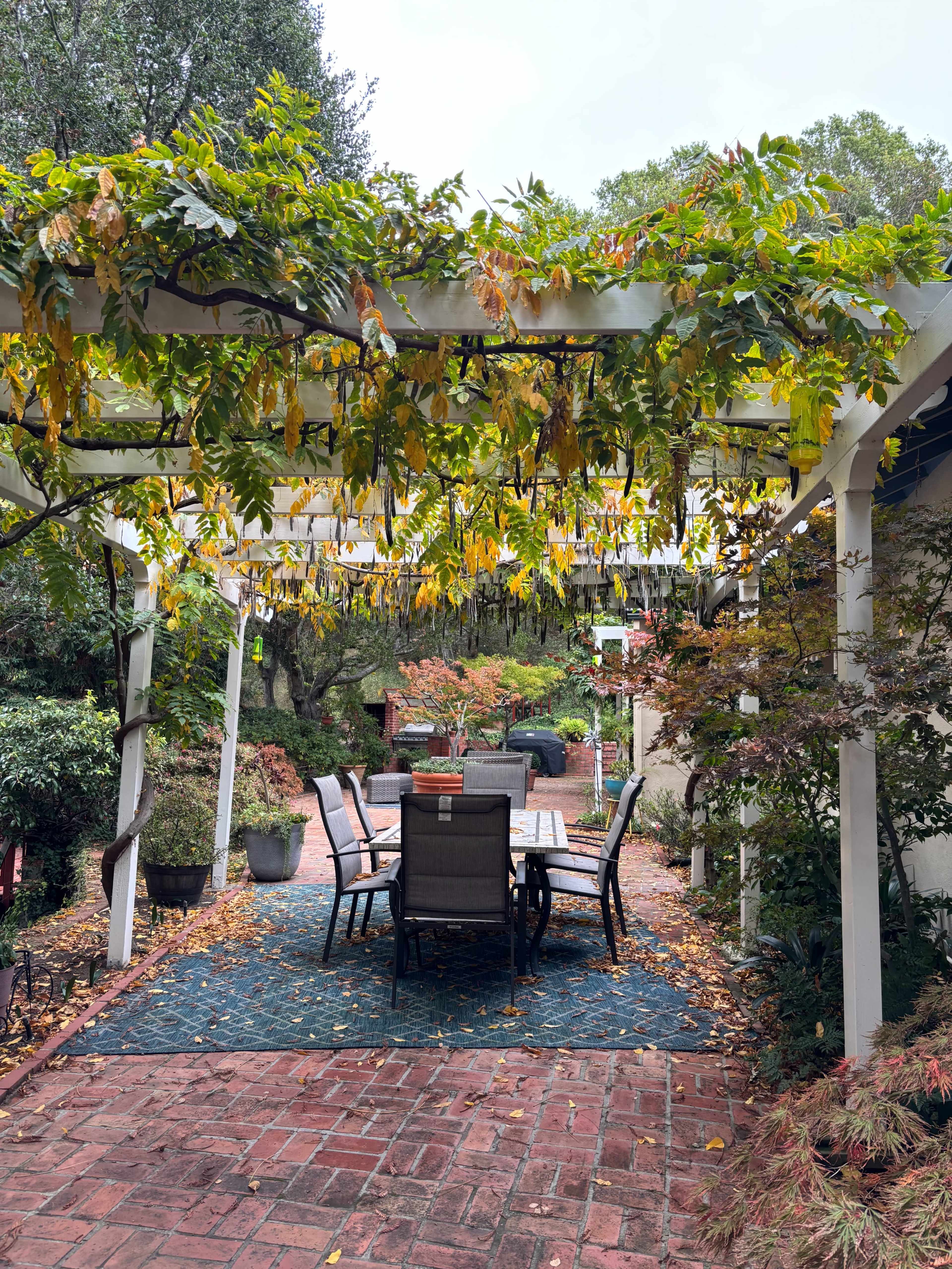 Scenic Garden Backyard with Deck and San Leandro Creek Views — Perfect for Photoshoots Image in Sheffield Village, San Leandro, CA