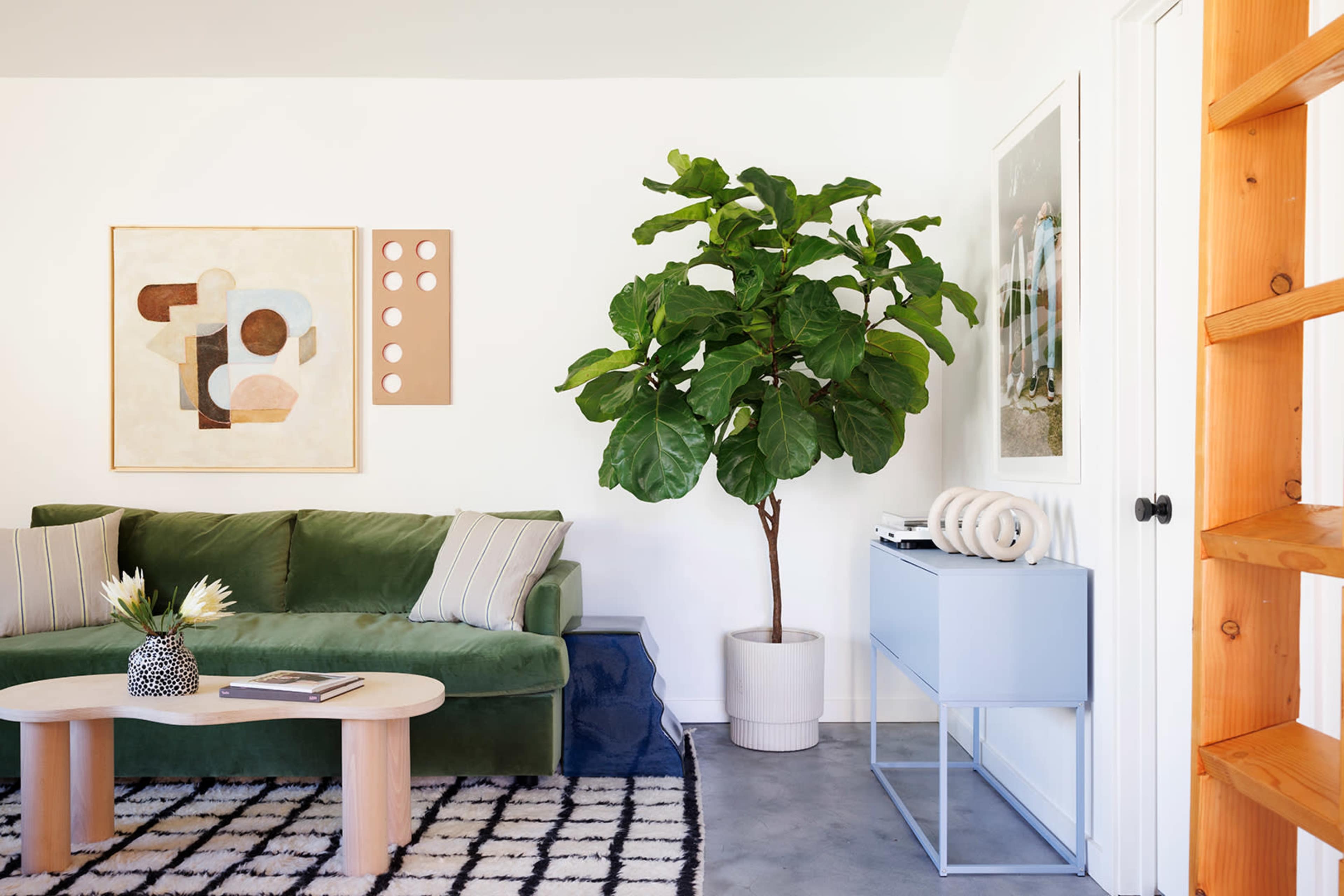 A modern living room with a green sofa, a round coffee table, and a large fiddle leaf fig tree in a planter, complemented by artwork on the walls and a patterned rug.